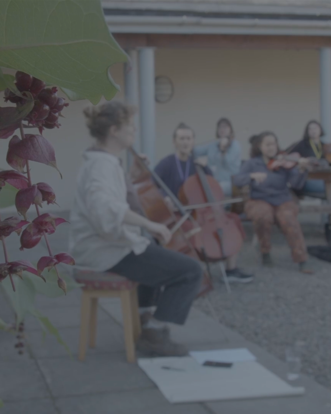 Group of musicians playing string instruments outdoors, with one person sitting on a stool in front and others in the background, behind a table.
