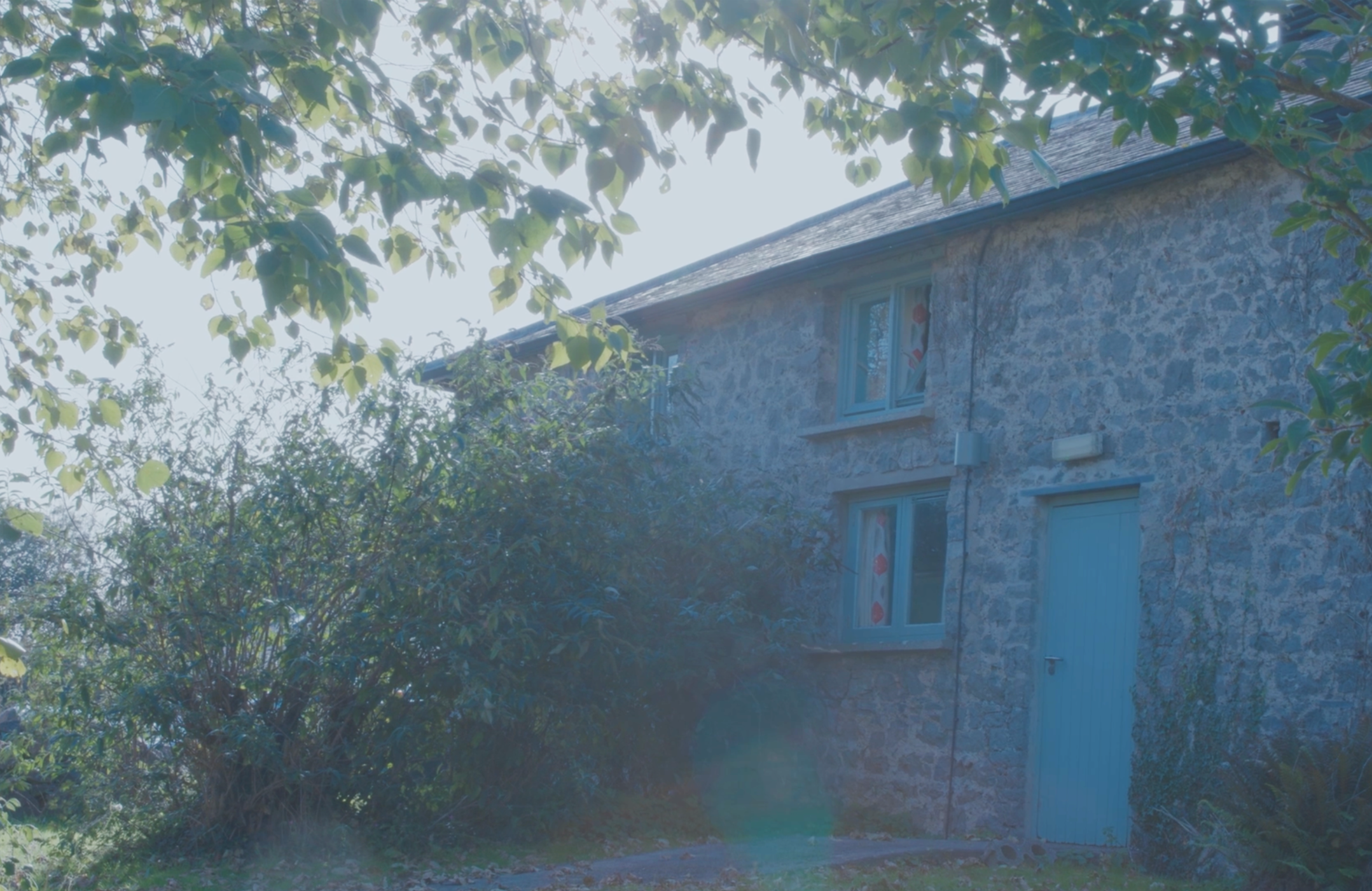 A stone house with blue window frames and a blue door, partially obscured by greenery and sunlight.