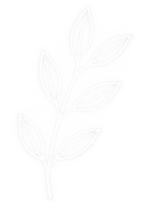 Outline of a leafy plant in white neon style.