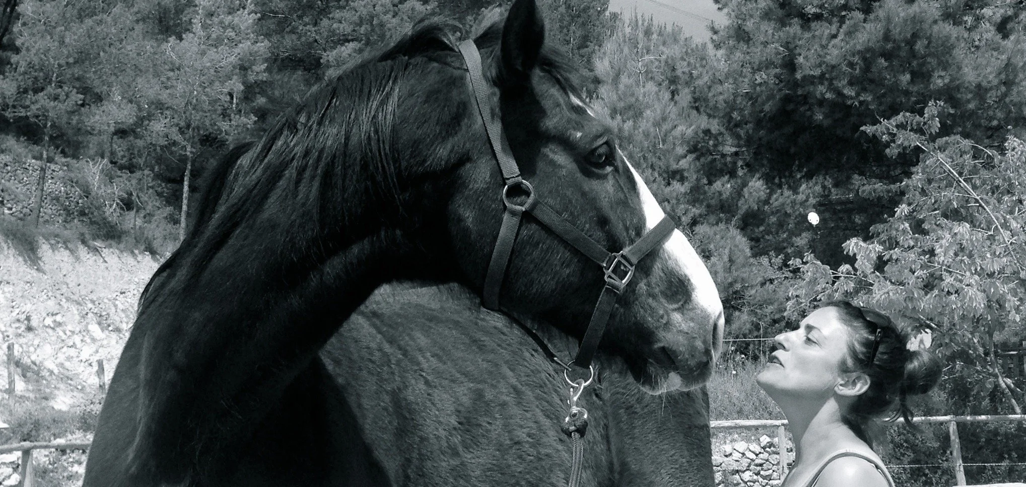 A woman looks up at a horse, which is facing her, in an outdoor setting with trees and a fence in the background.