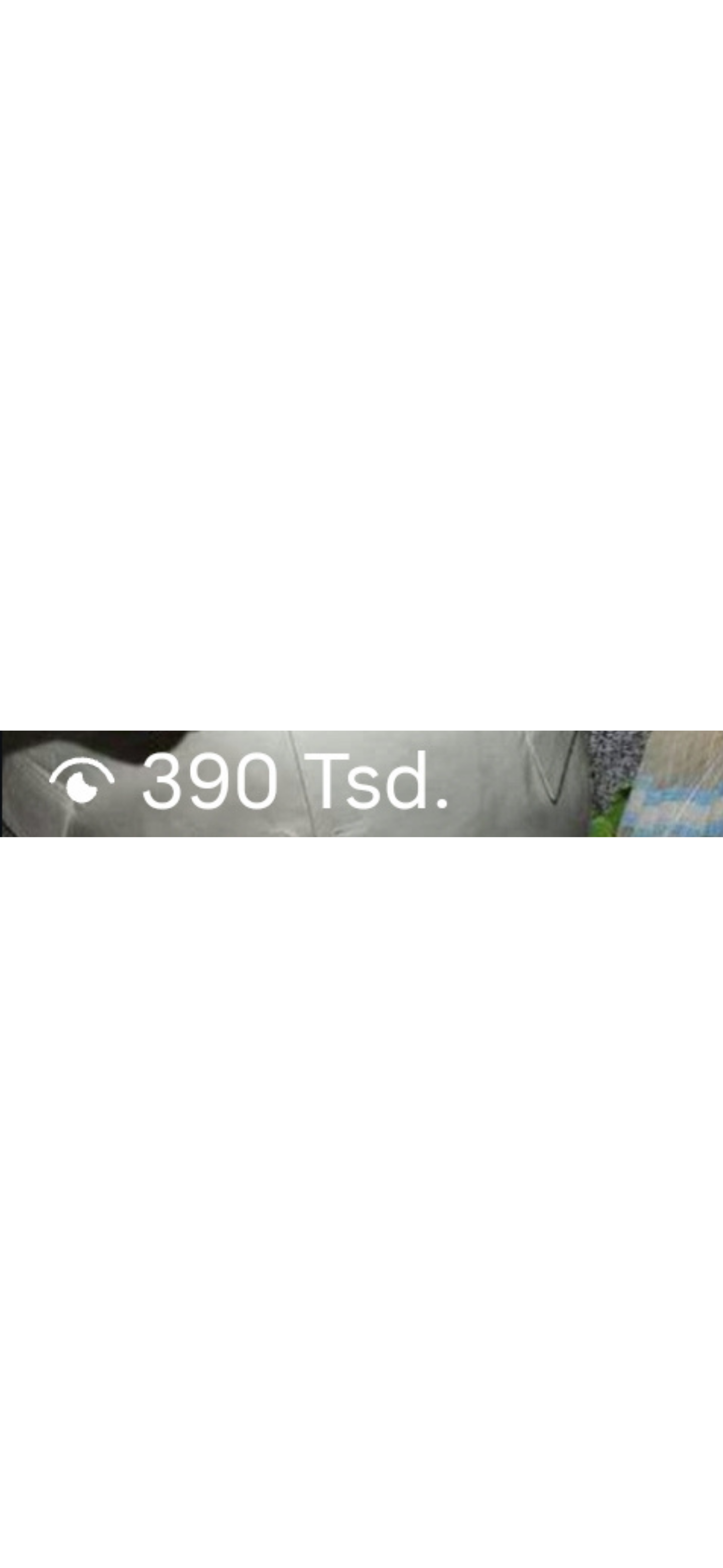 31.png