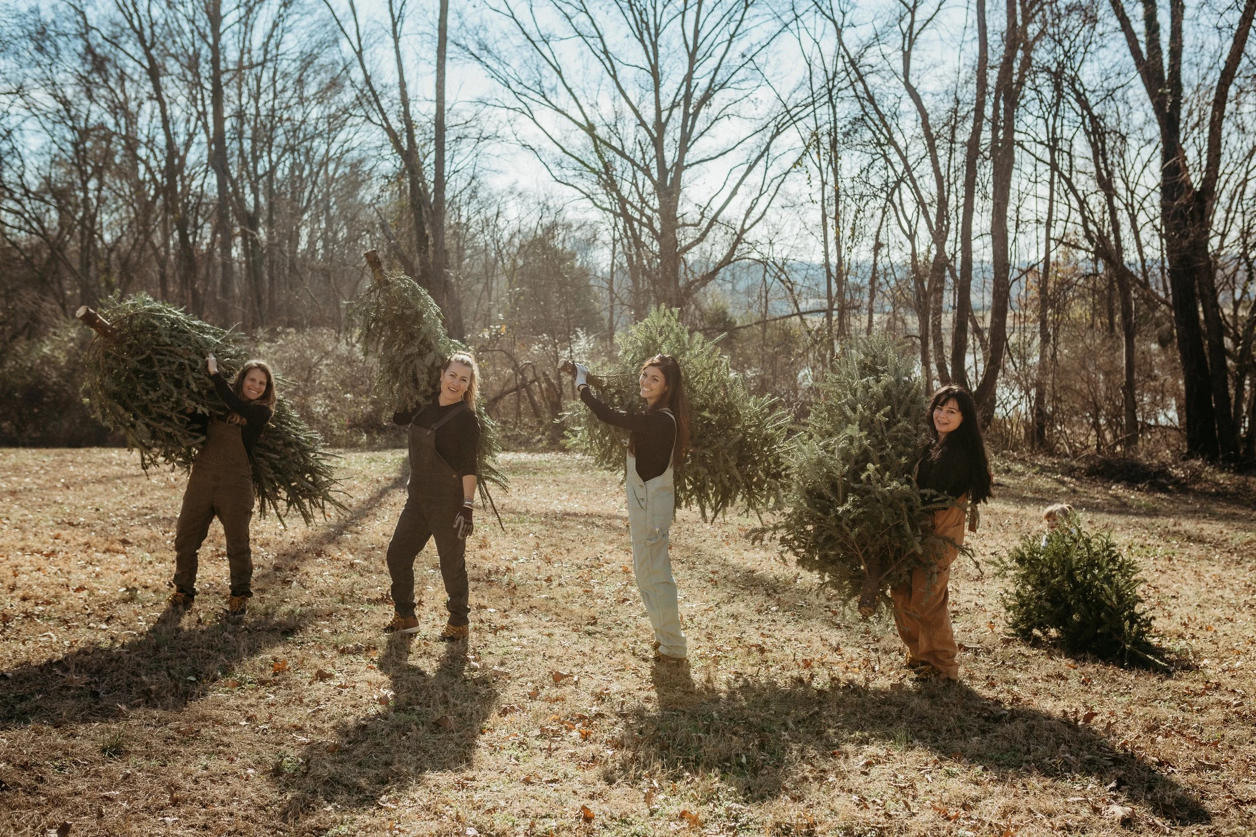 Four women are standing outdoors in a wooded area, each holding a large Christmas tree. The sun is shining, and the trees in the background are leafless, suggesting late fall or winter.