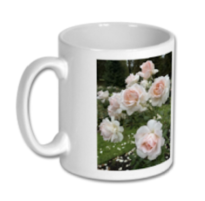 Screenshot 2026-04-08 at 16.58.04.png