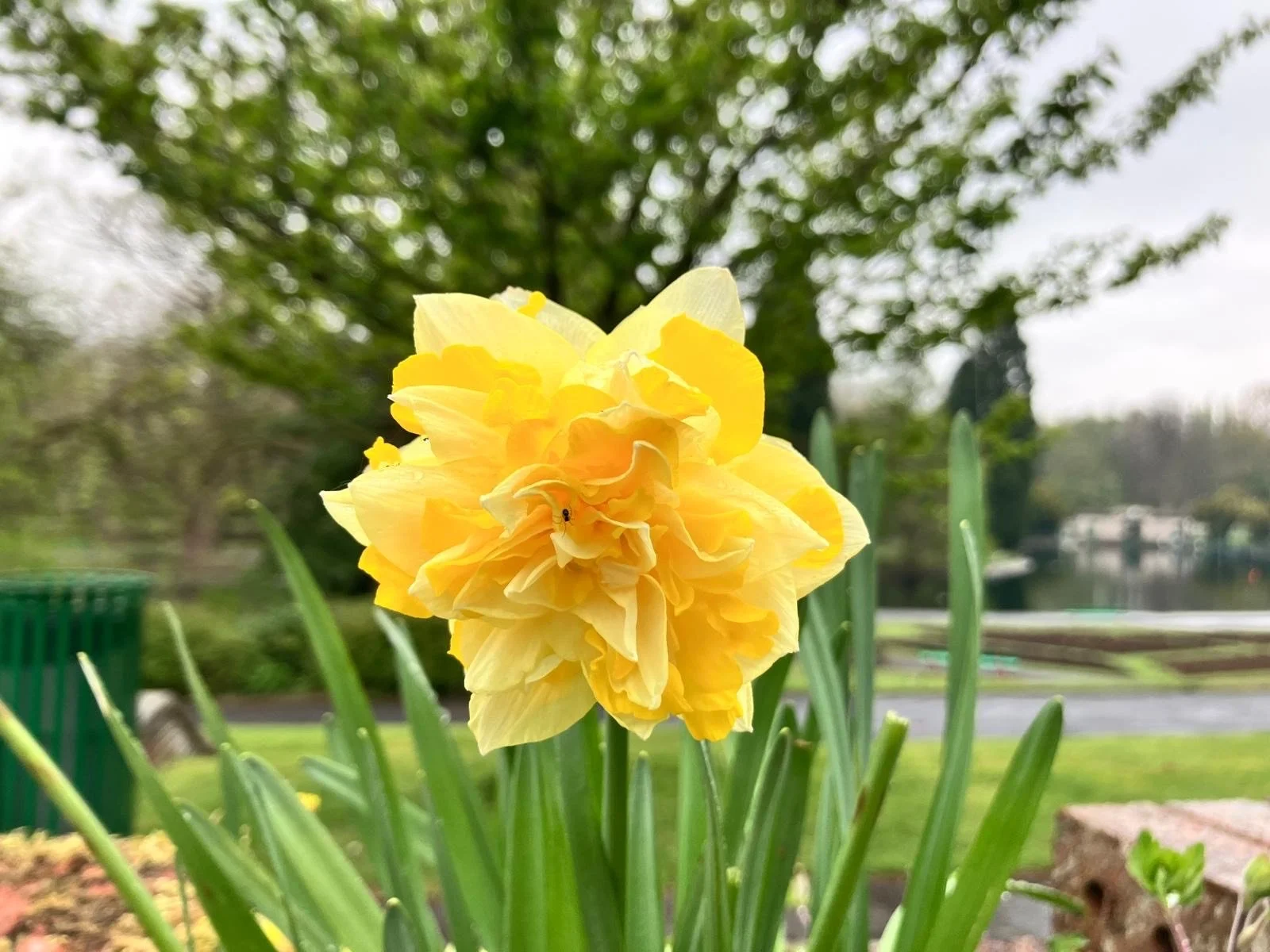 Geometric drawing of an outline square with sections divided by vertical, horizontal, and diagonal lines.