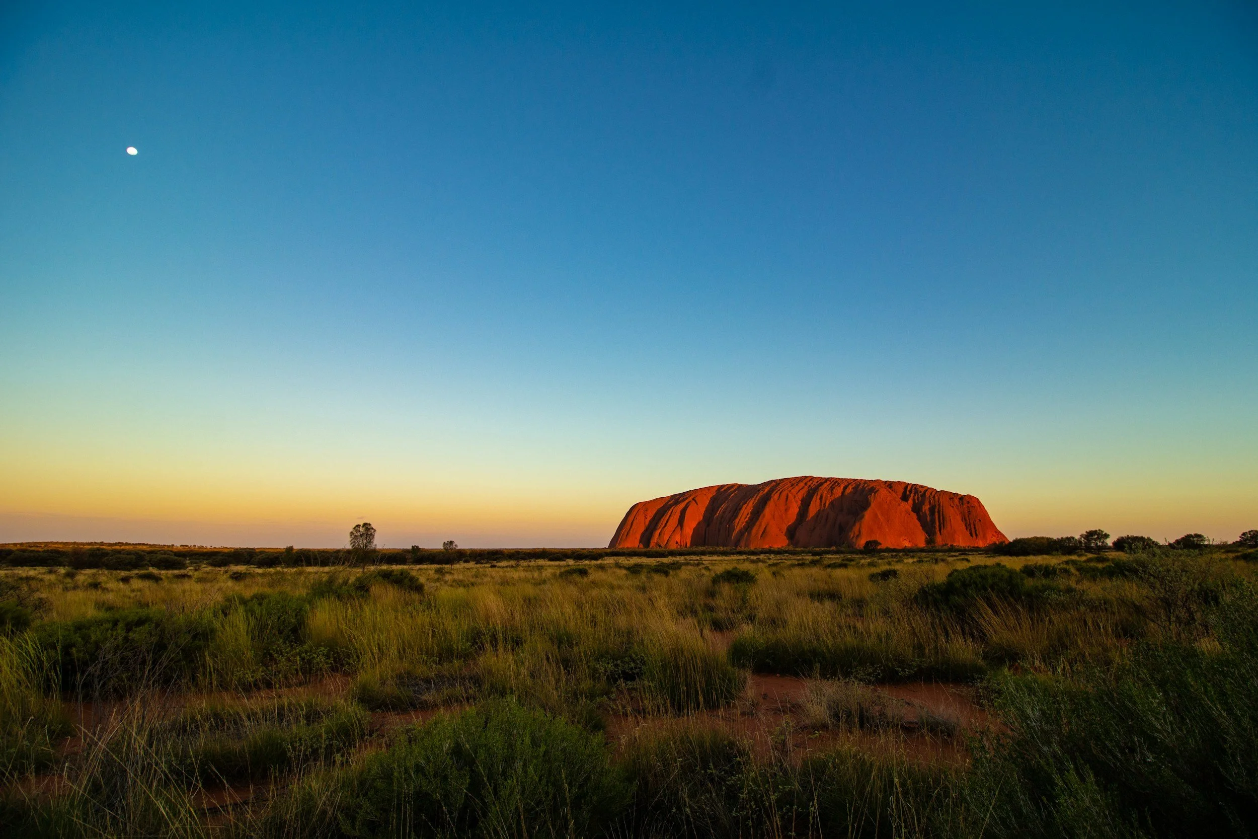 A large reddish-brown rock formation known as Uluru or Ayers Rock, situated in a flat landscape with grass and sparse trees, under a clear blue sky with a small visible moon.