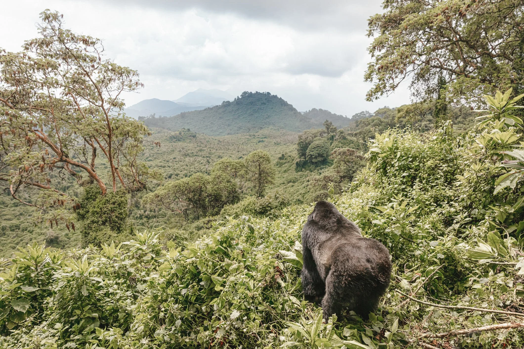 The New Bucket List: The Travel Experiences Defining 2027 and Beyond