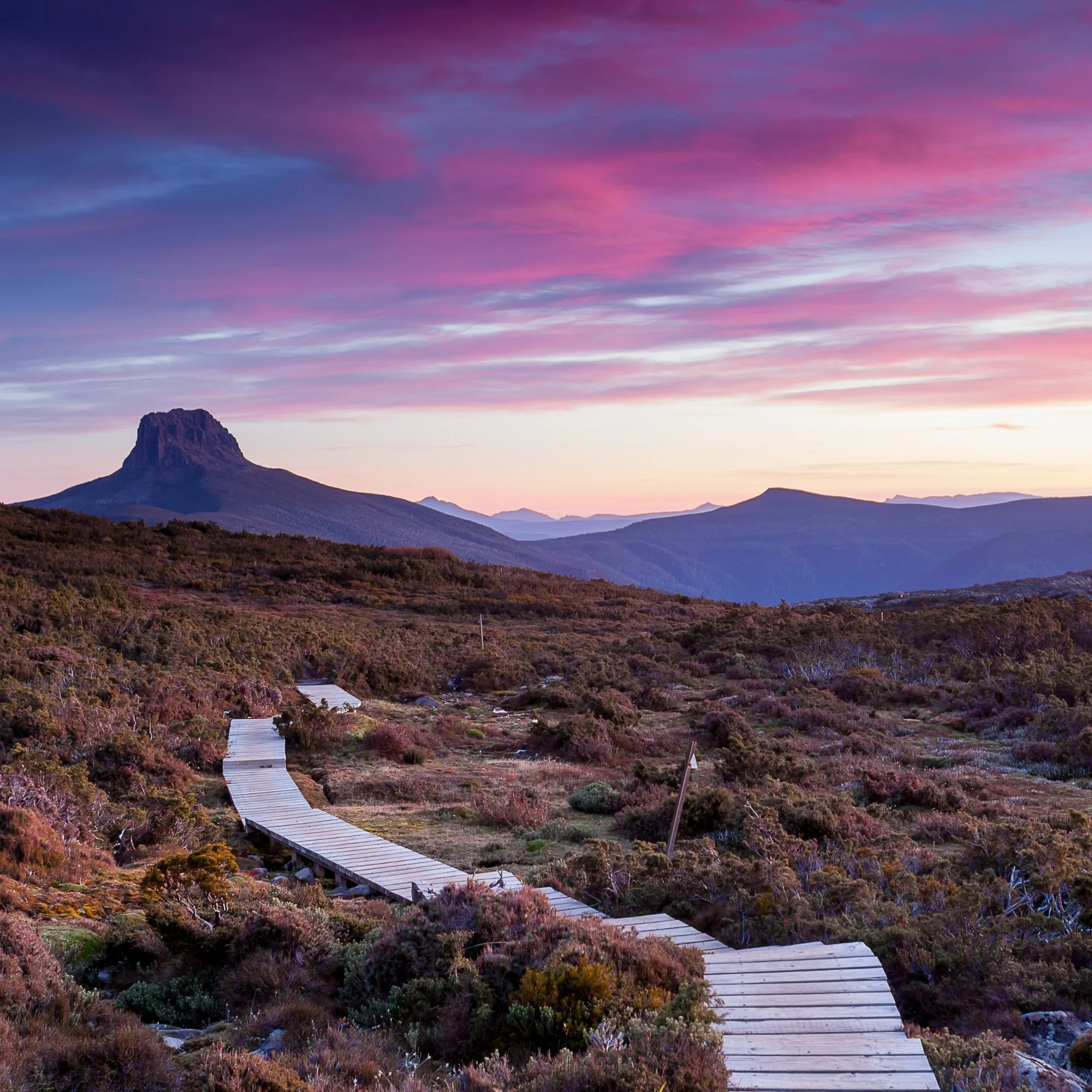 Wooden pathway winding through purple and green shrubbery with a mountain and colorful sky in the background.