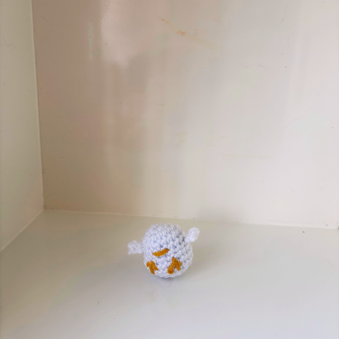 02.26.2026 | Marshmellow