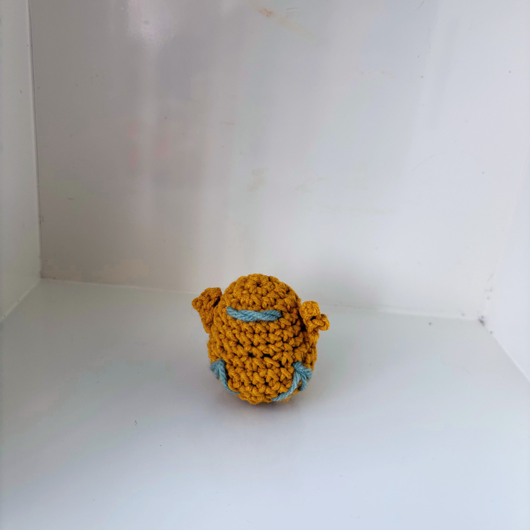 02.28.2026 | Marigold