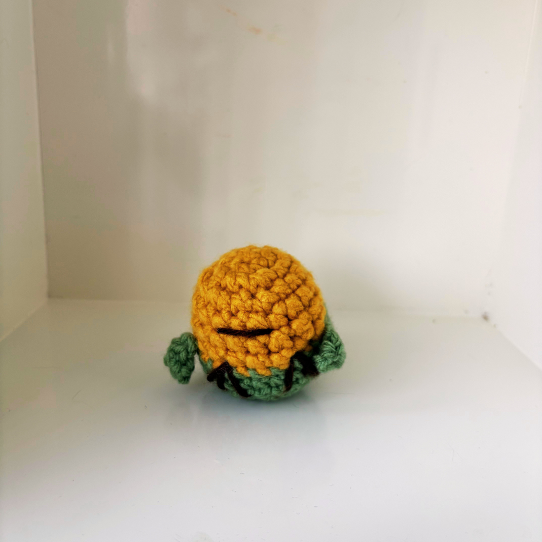 03.11.2026 | Dandelion