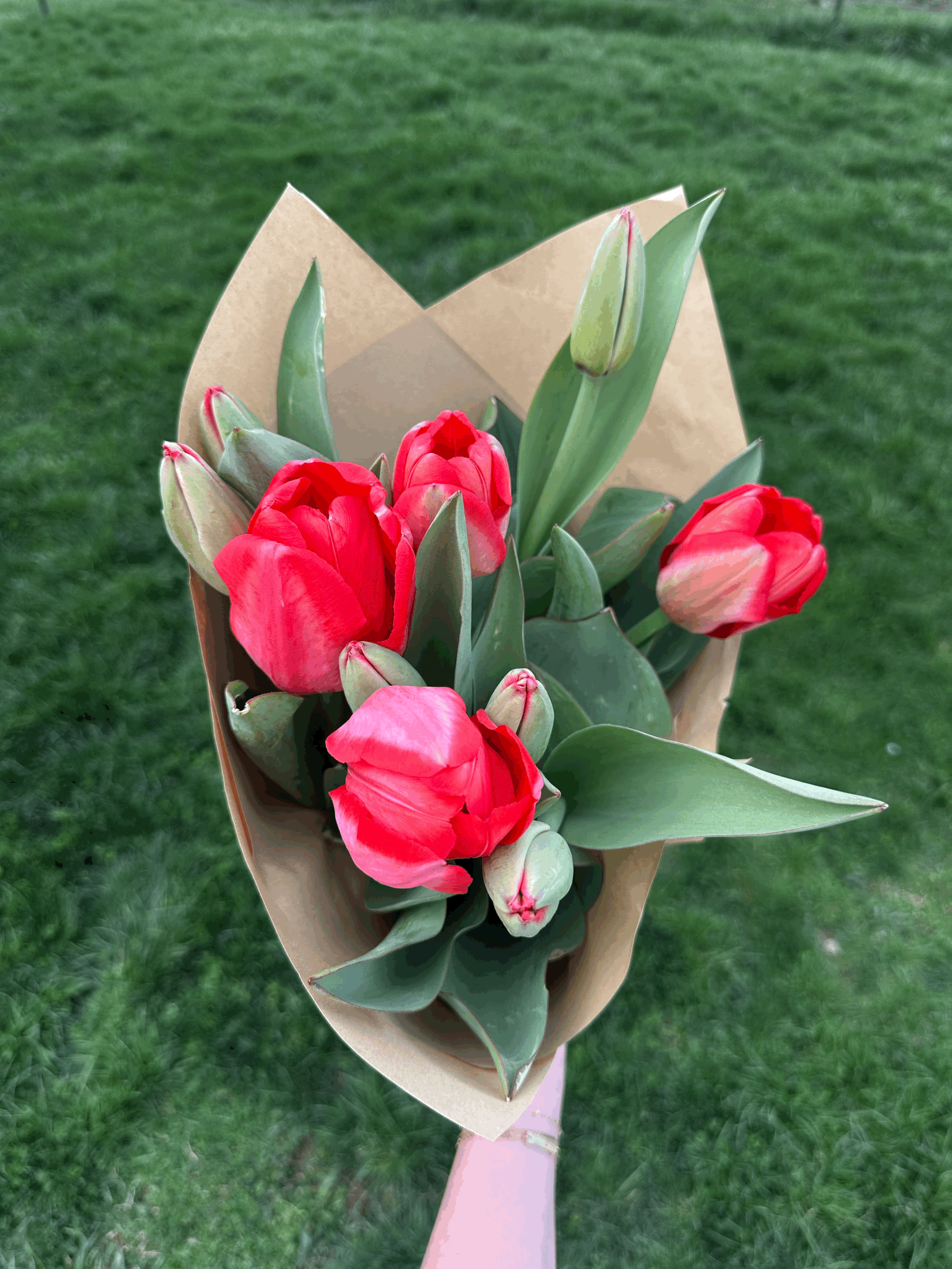 Tulip Bouquet