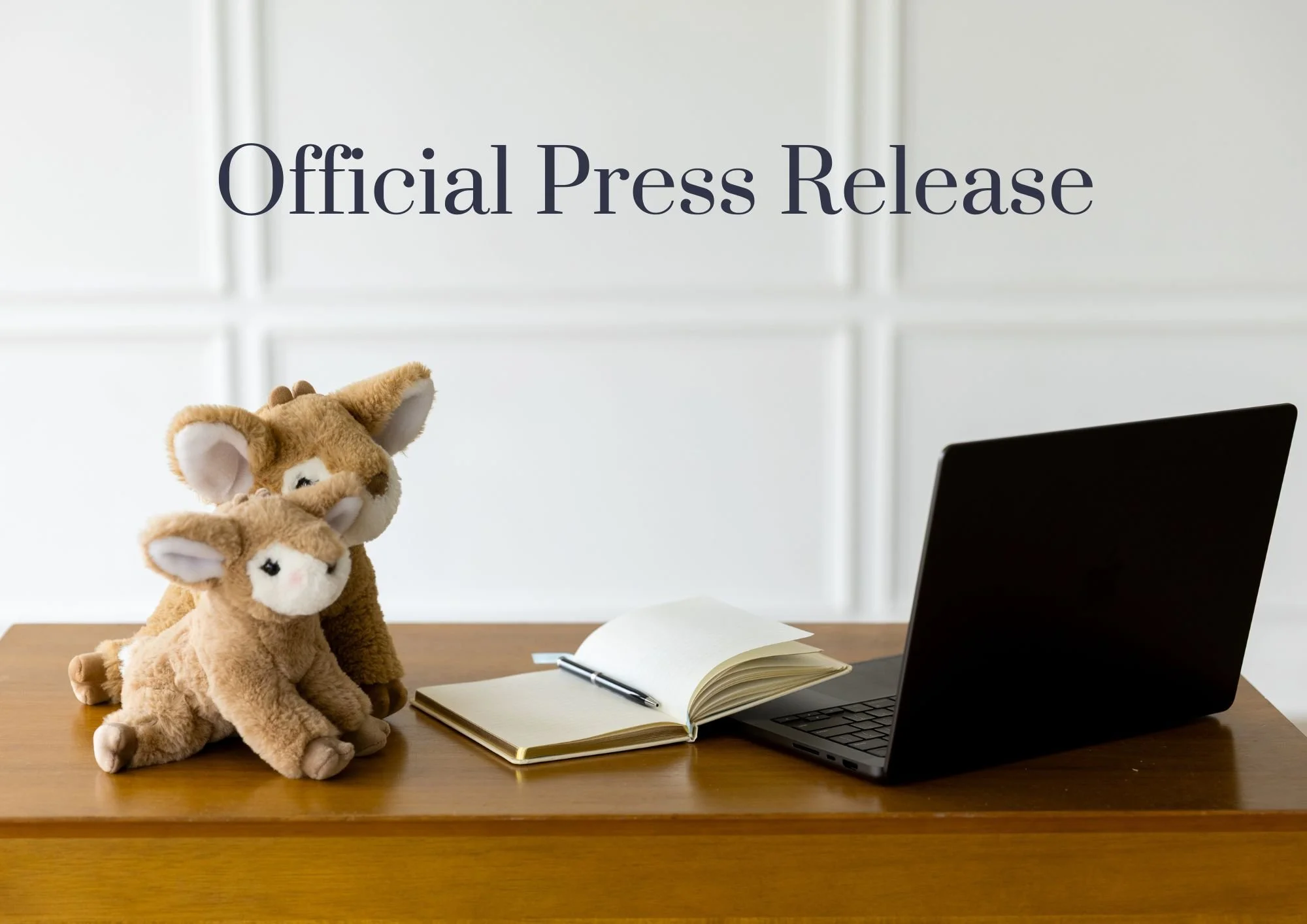 Press Release Still.jpeg