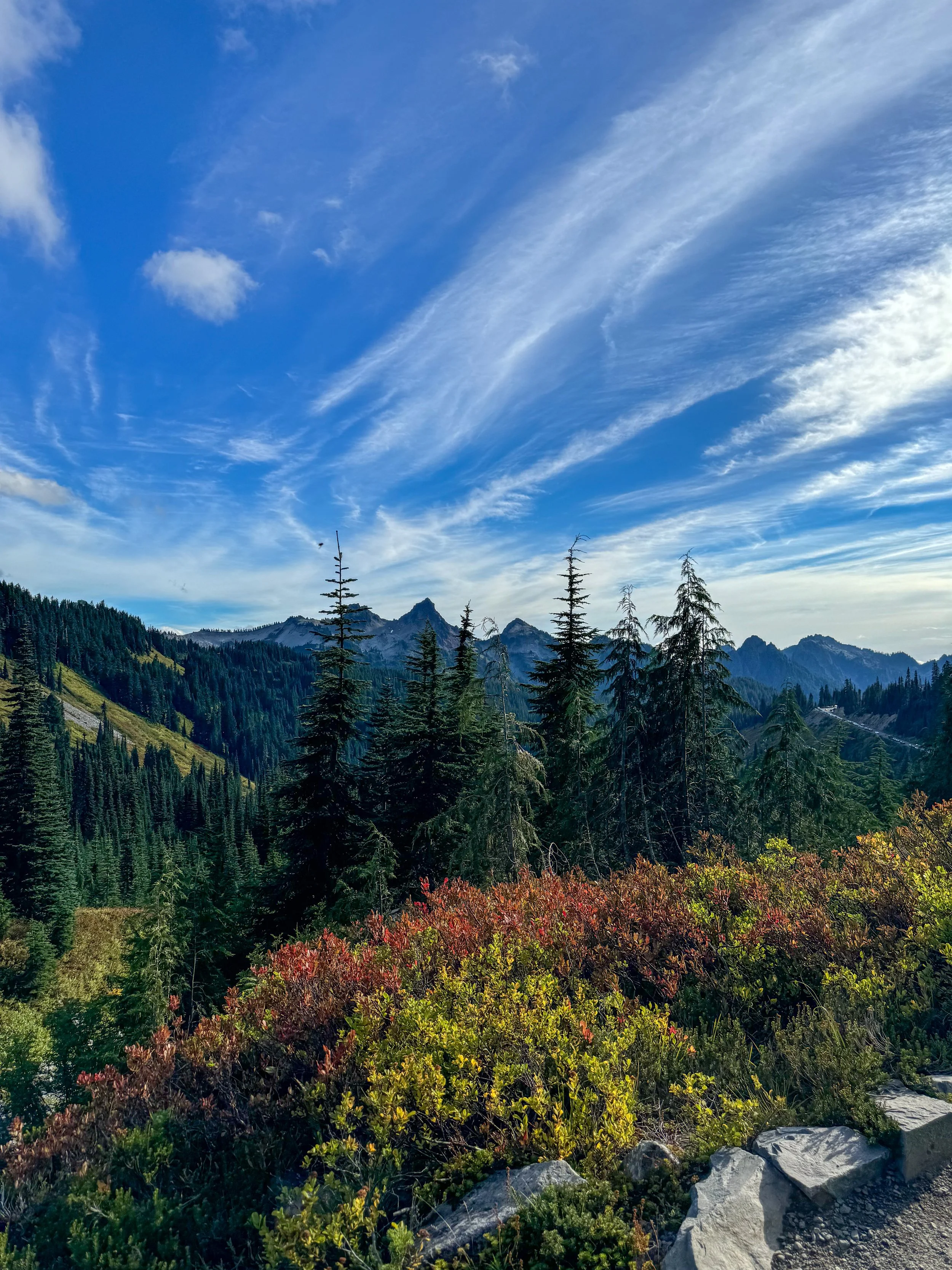 Mountains with a forest of tall evergreen trees and colorful bushes in the foreground, under a partly cloudy sky.
