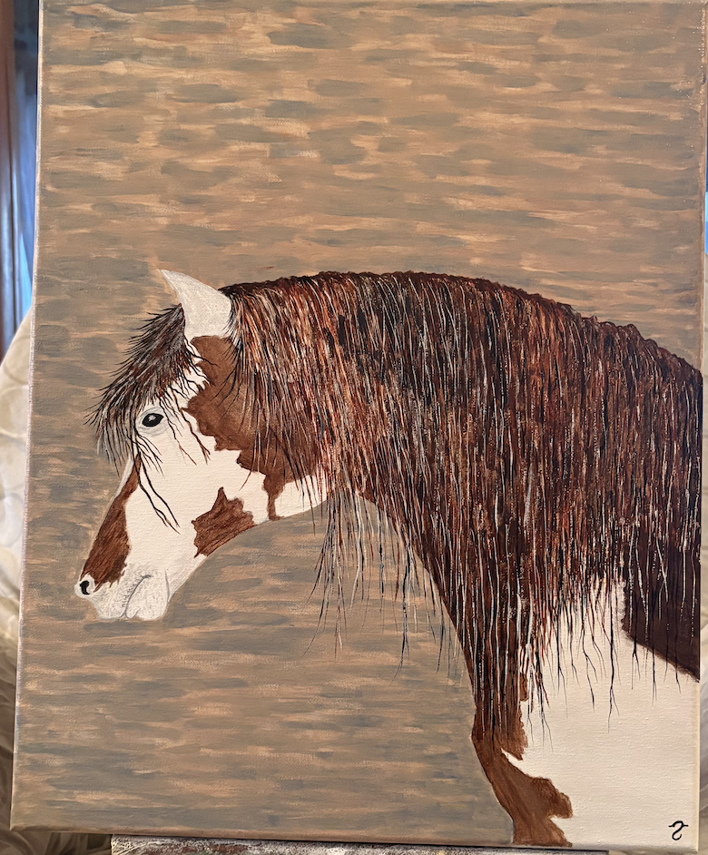 Wild Paint Mustang- P