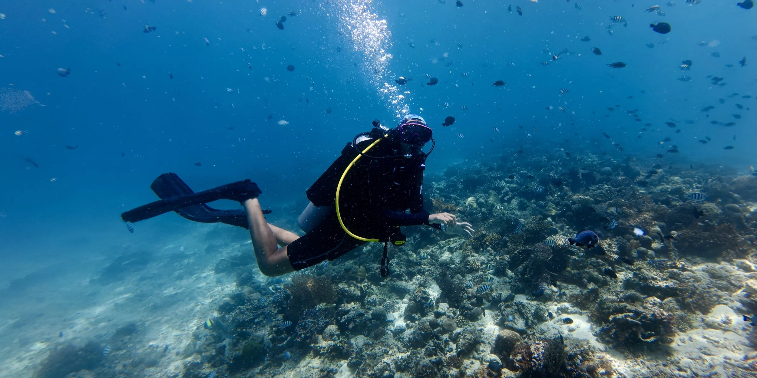 3W Dive Master Intern 