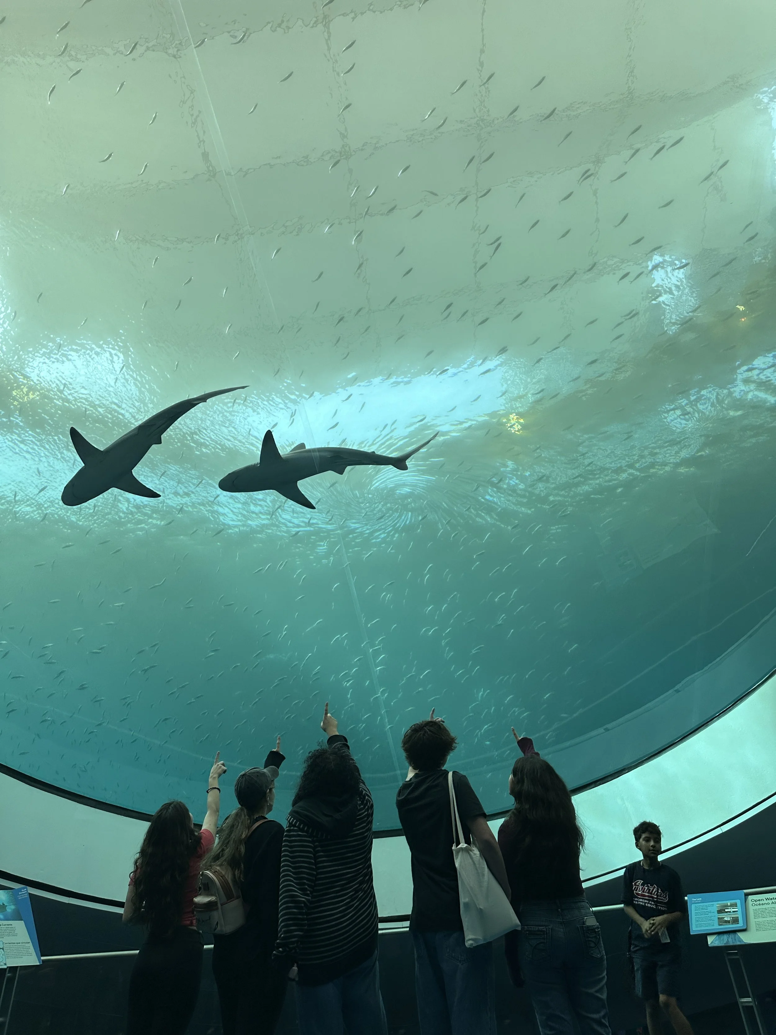 Marine Biology Teacher 