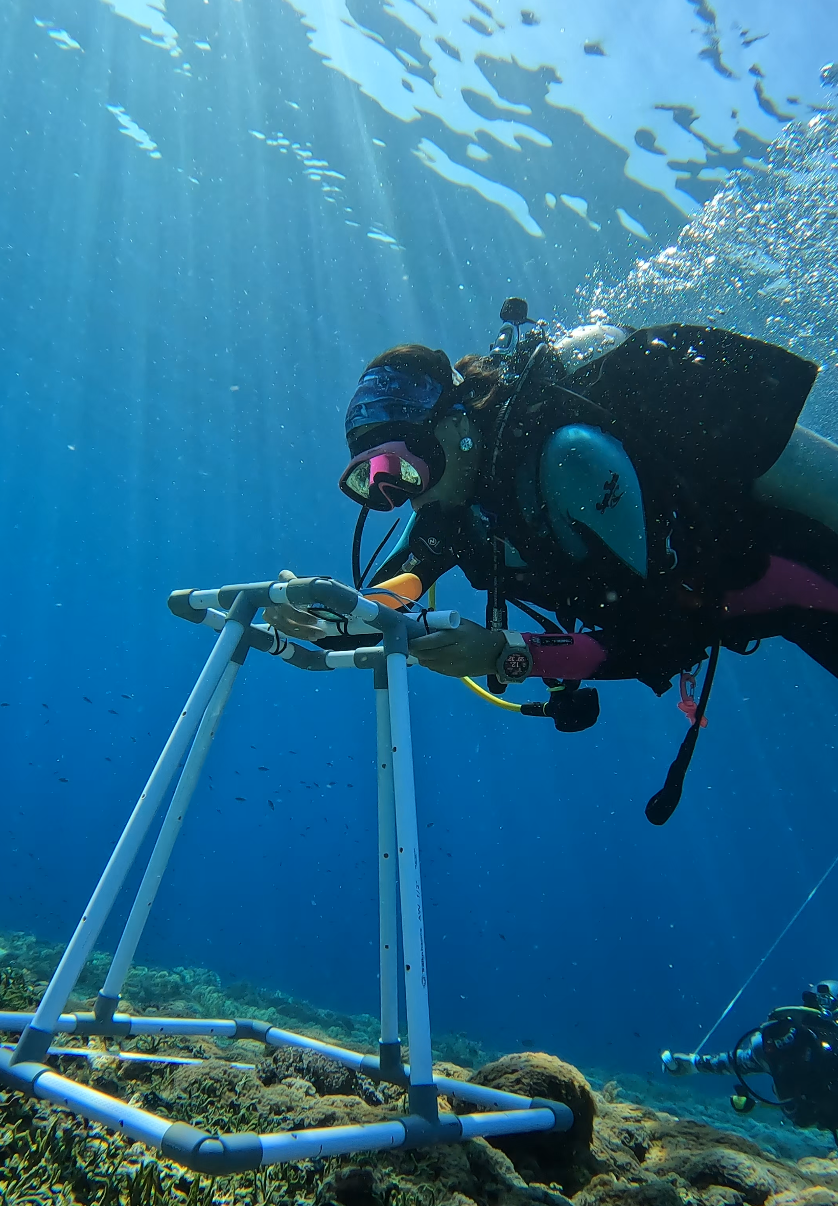 A diver underwater with a robotic device in a coral reef, sunlight rays penetrating the water, and a collection of coral and rocks on the ocean floor. Conducting Coral Conservation in Indonesia off the coast of Gili Air, working on Transect surveys