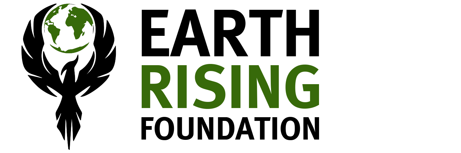 Logo for Earth Rising