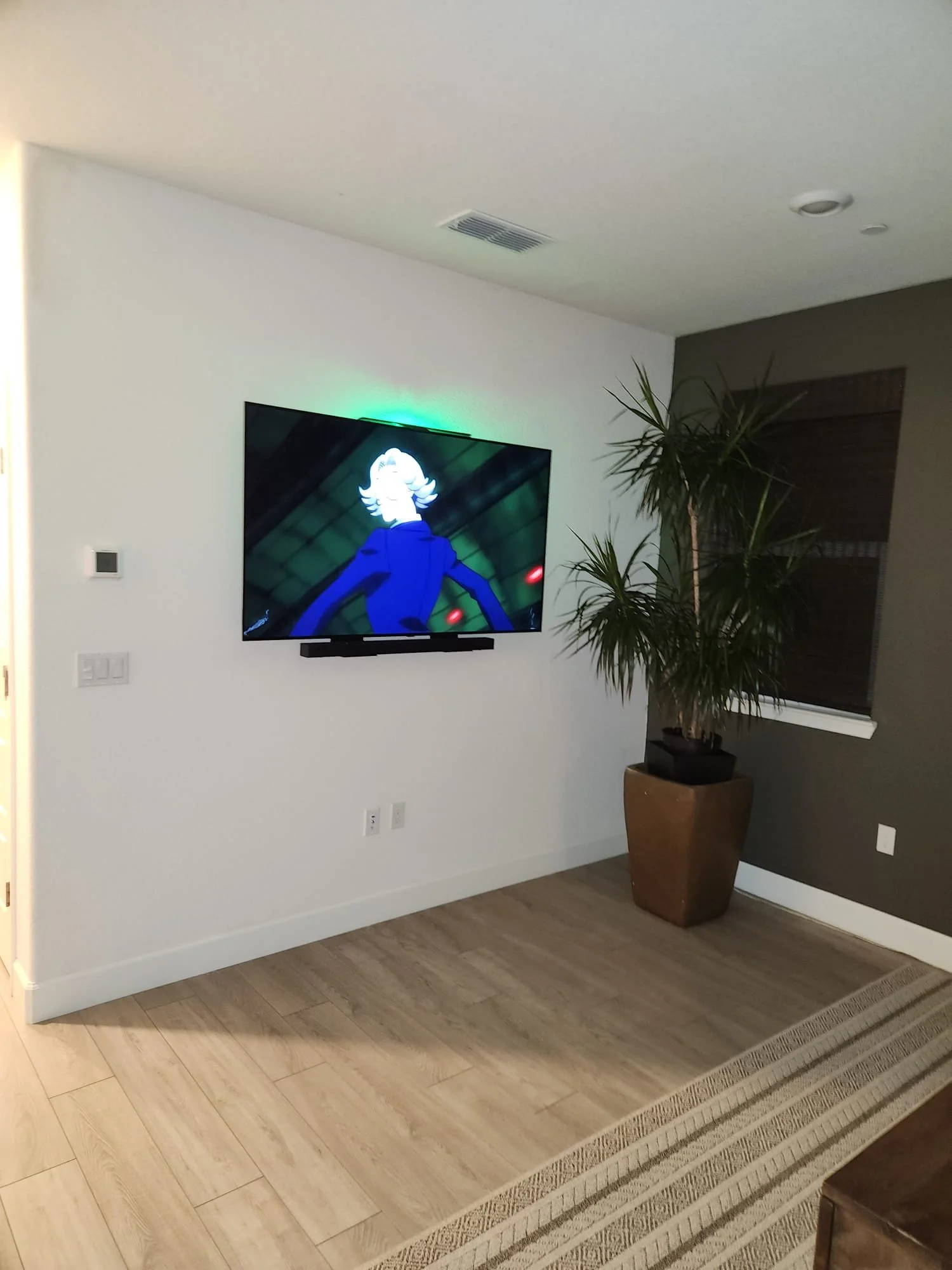 Living room with wall-mounted TV showing an animated character, large potted plant near window, wooden floor, and dark accent wall.