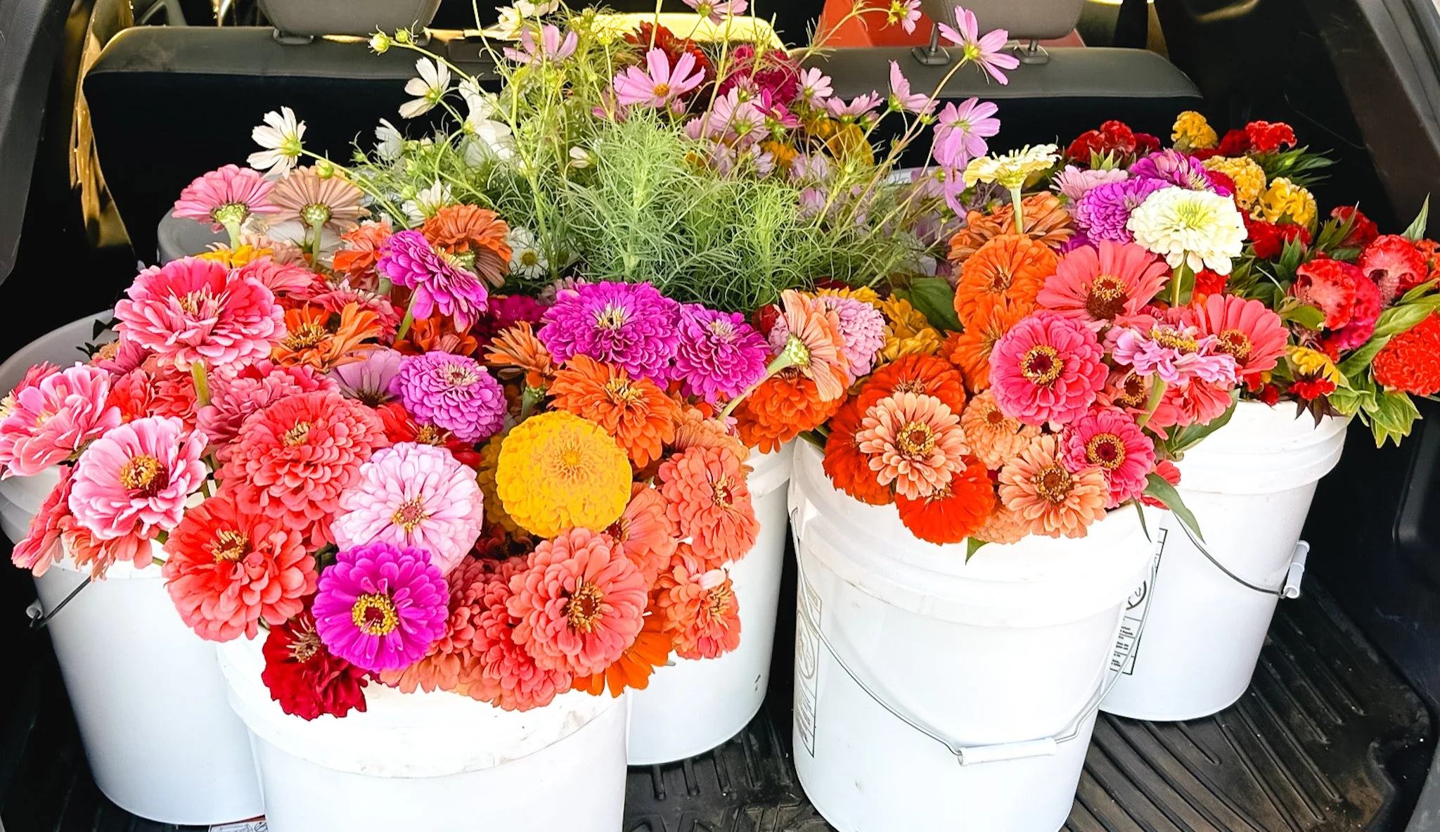 Grower’s Choice Flower Bucket