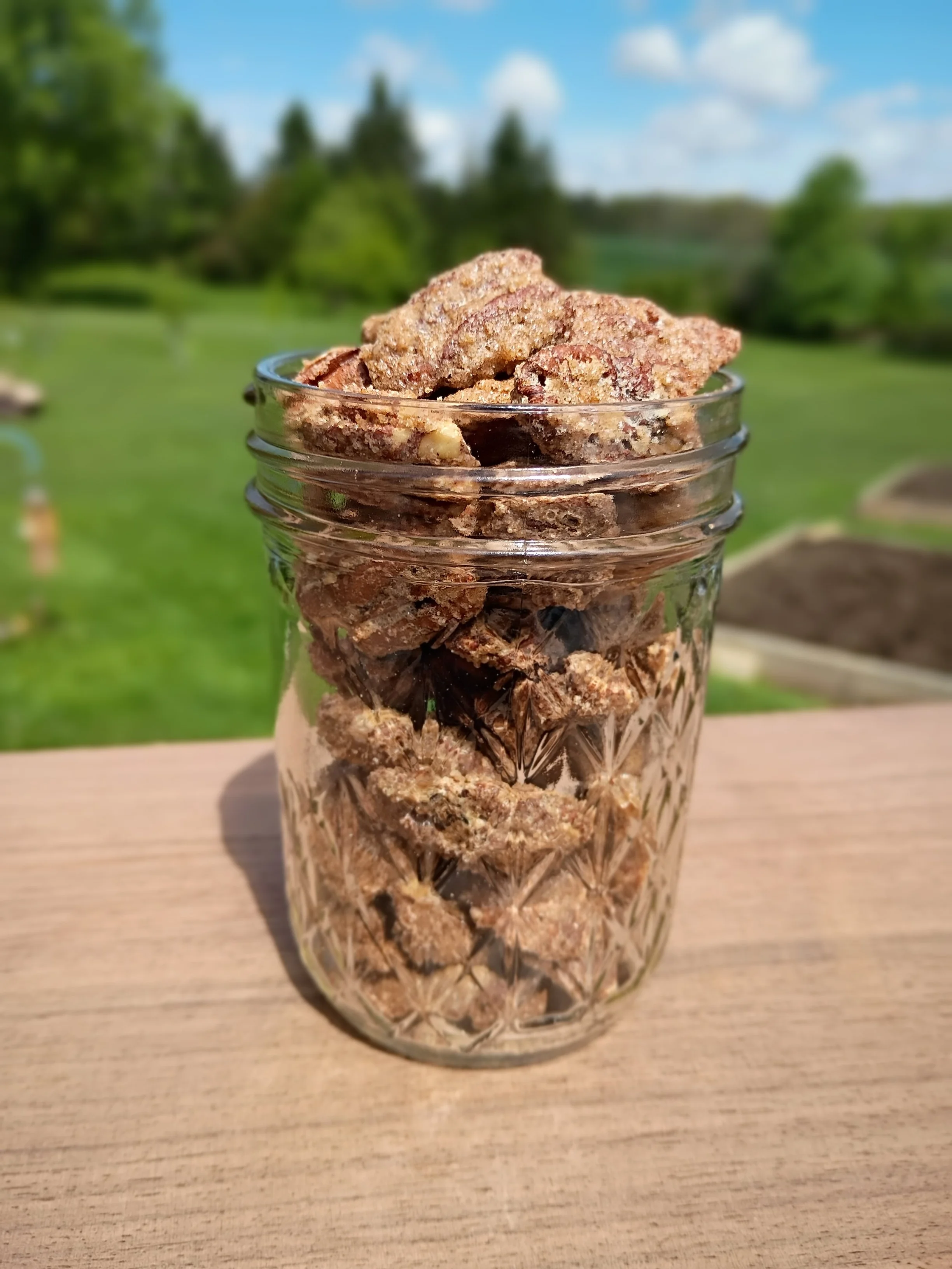 A glass jar filled with dried squirrel or chipmunk food, placed on a wooden surface outdoors with a blurred green landscape and blue sky in the background.
