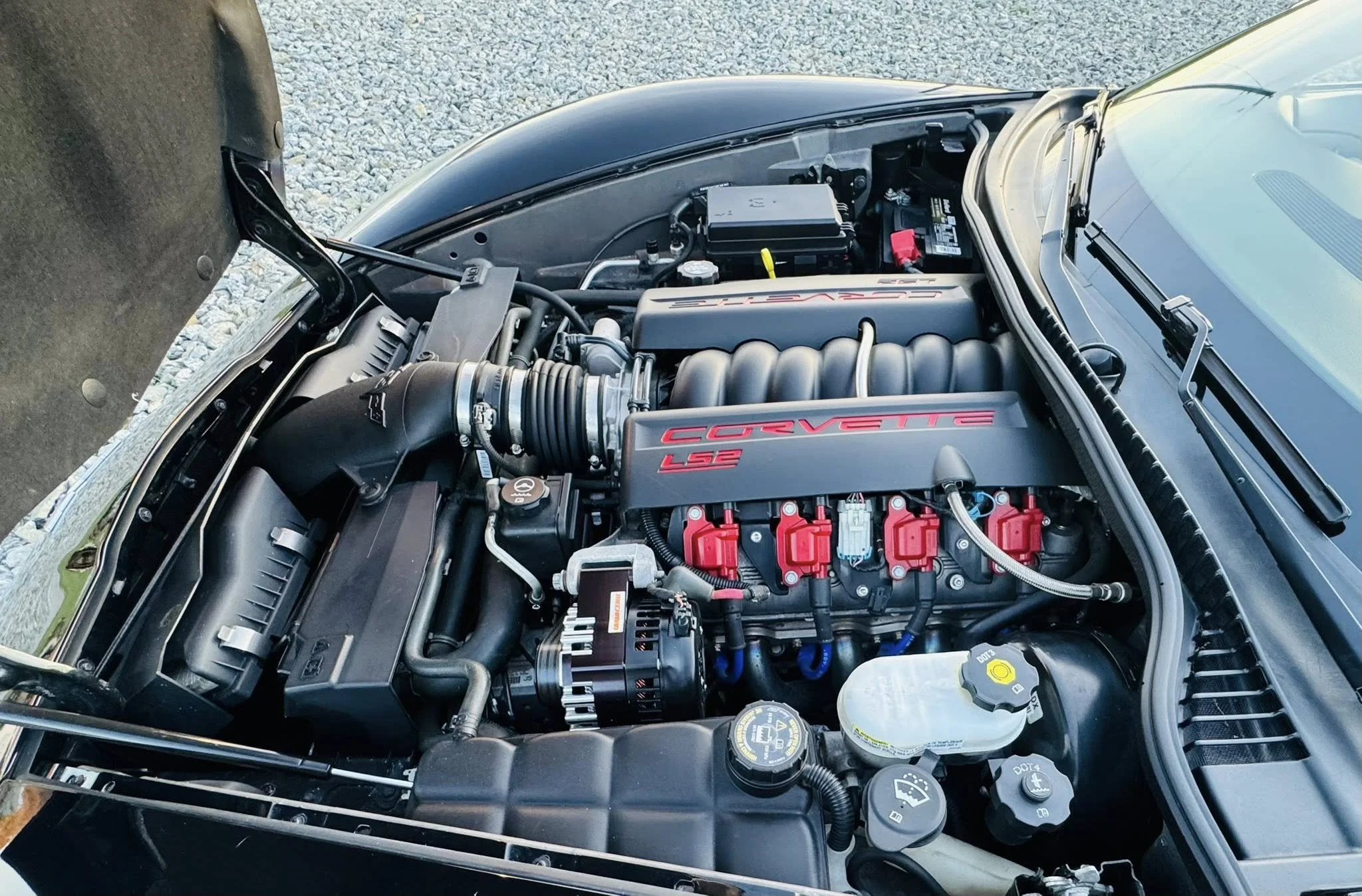 671584545_927665096840282_1038525403862019188_n.jpg
