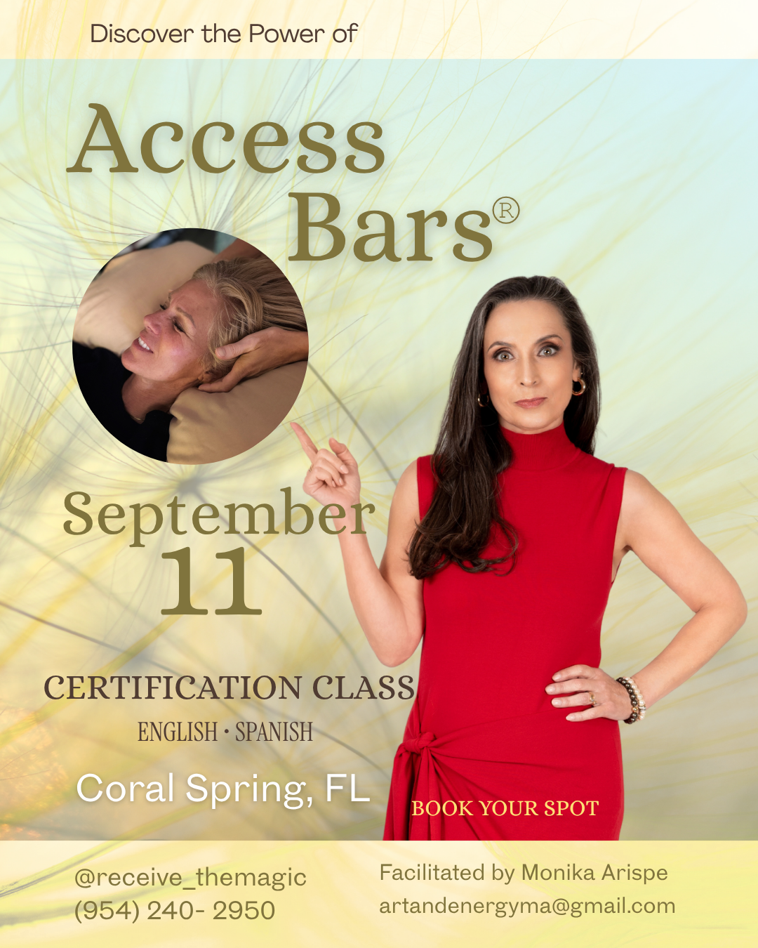 Access Bars® Certification Class 