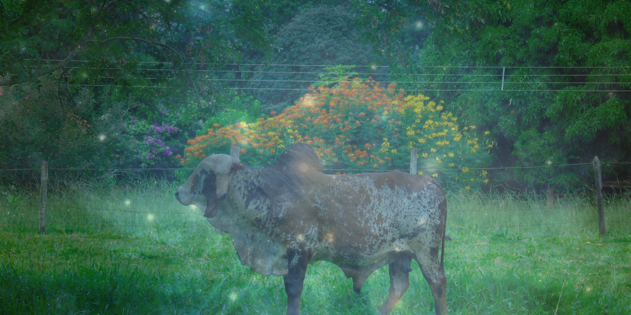 Experiential Astrology: Taurus Season