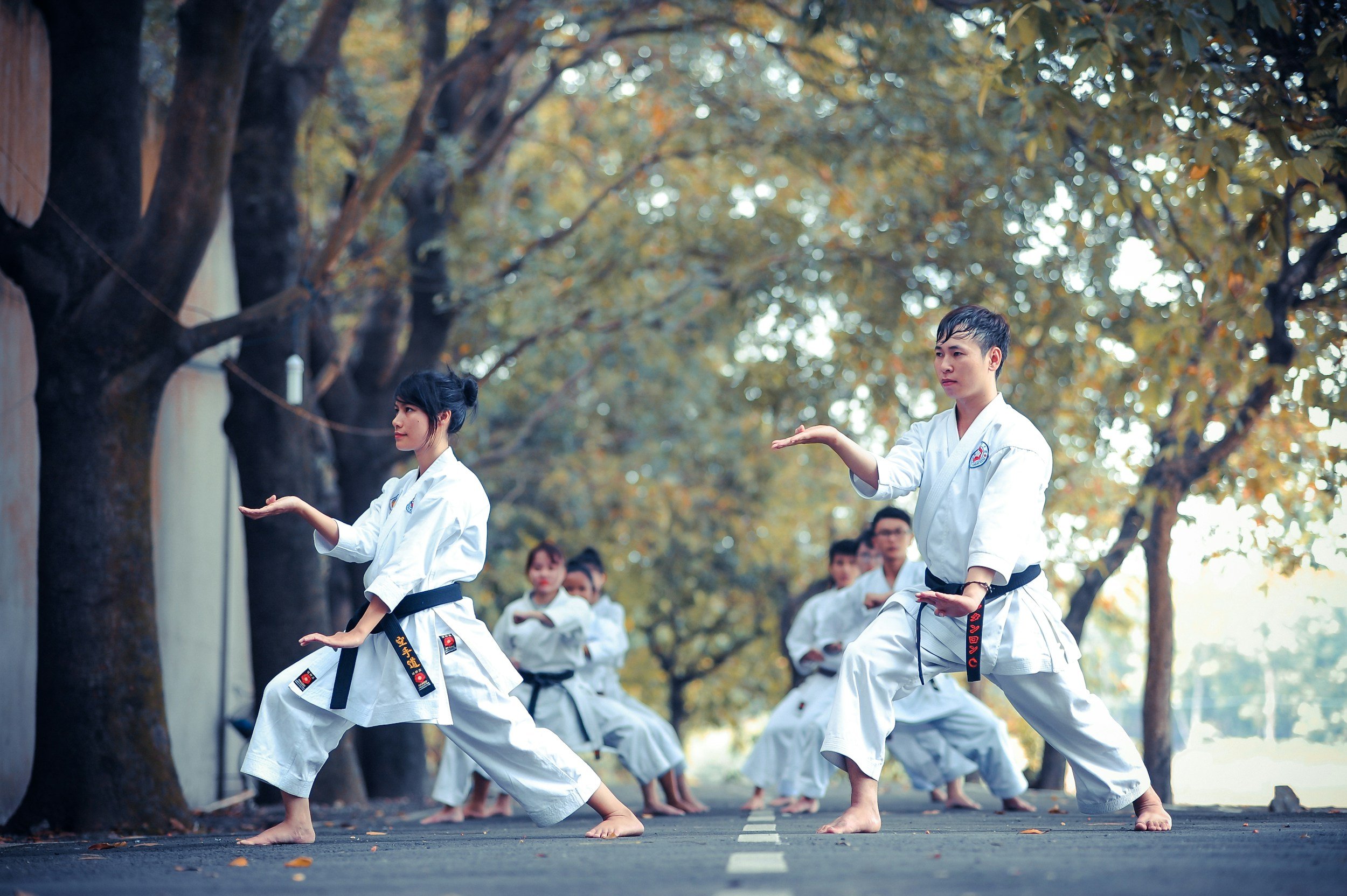 Martial arts students practicing techniques outdoors on pavement, some in front, with trees and other students in background.