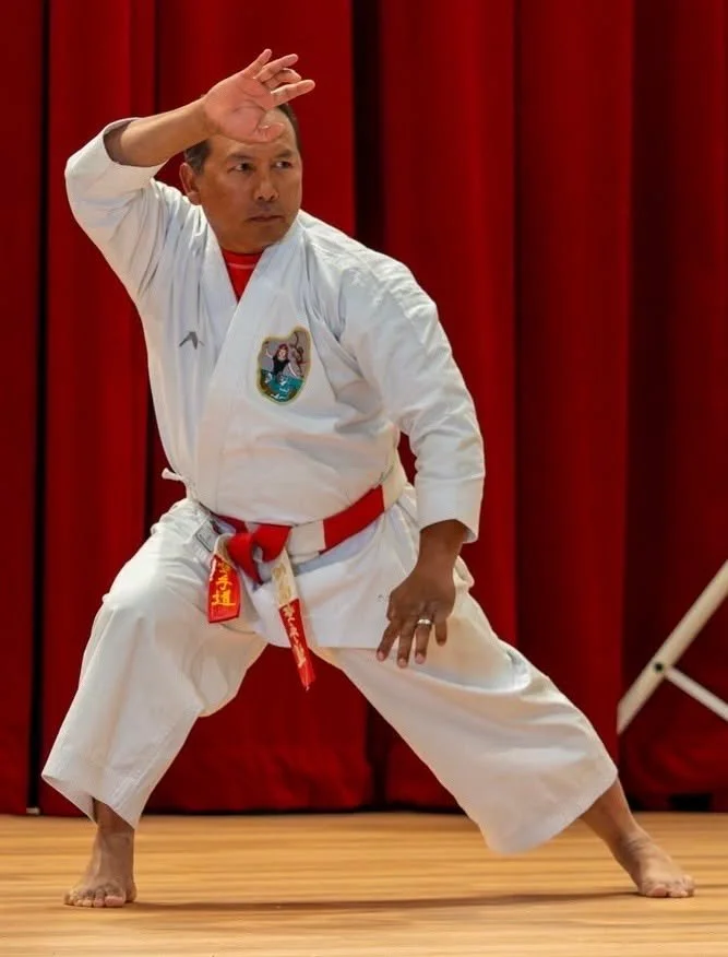 Martial artist in a dojo performing a kata or stance, dressed in a white karate gi with red belt, standing on a wooden floor with red curtain backdrop.