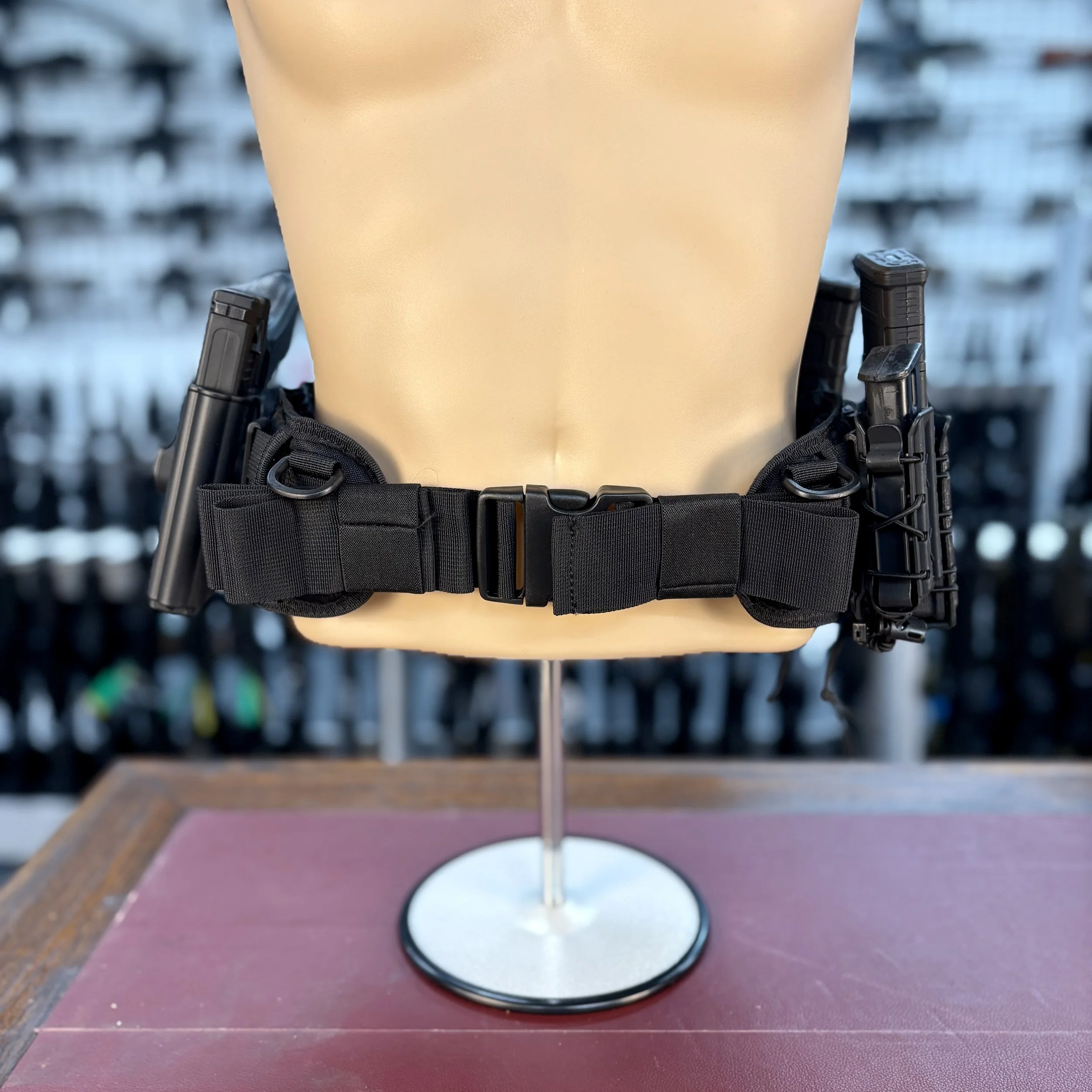 Molly Belt Set Up