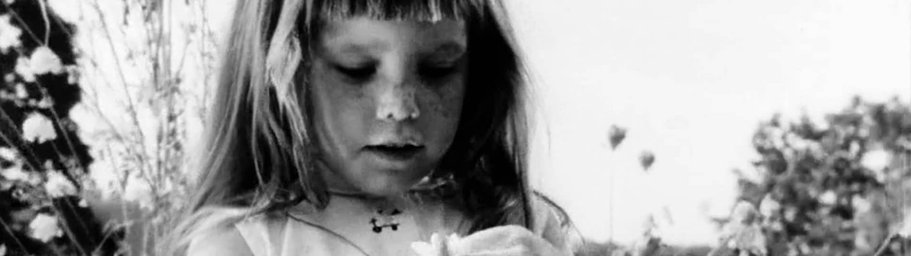 The Director’s Cut, Part II: Manipulation