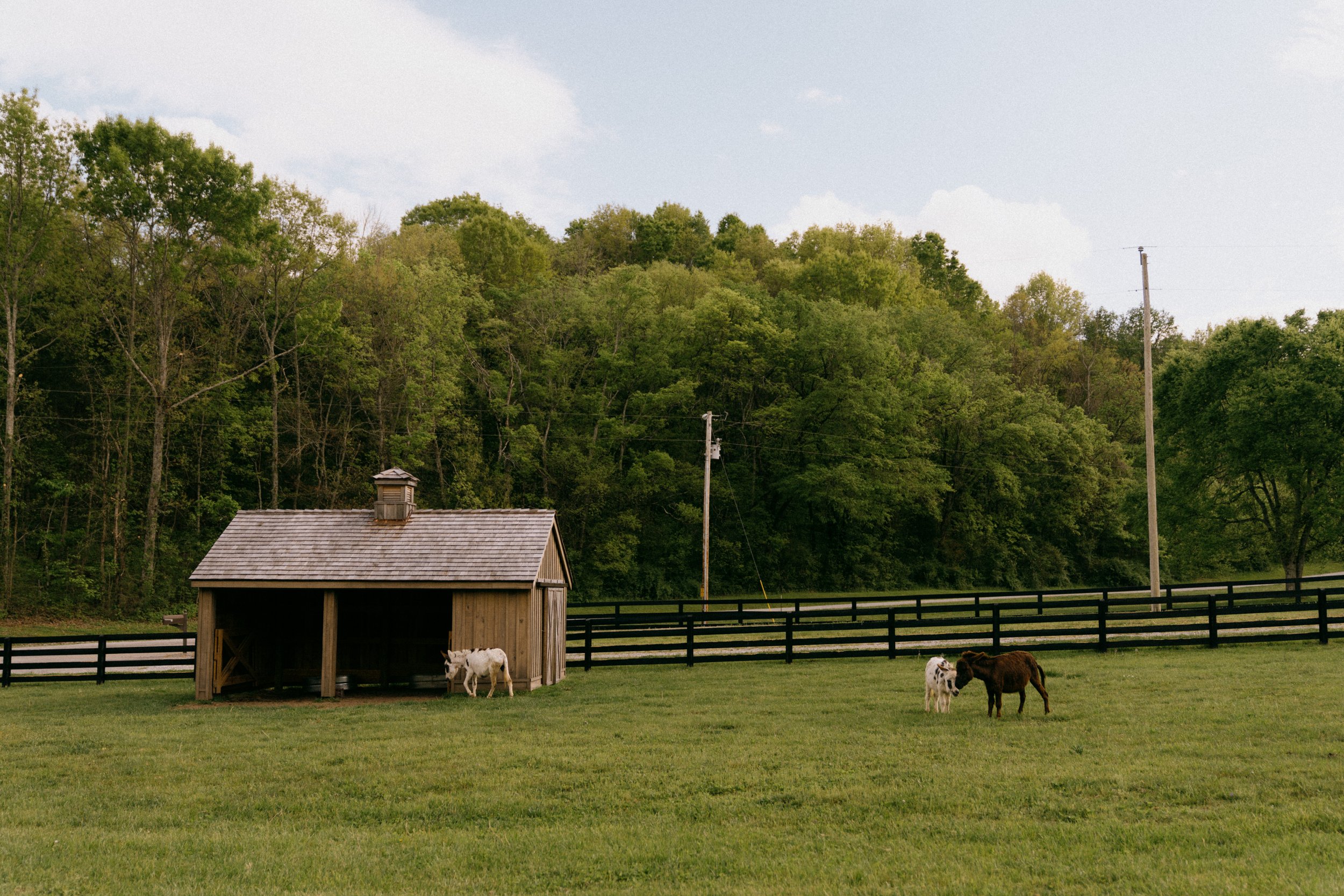 sparkman booty barn-1.jpg