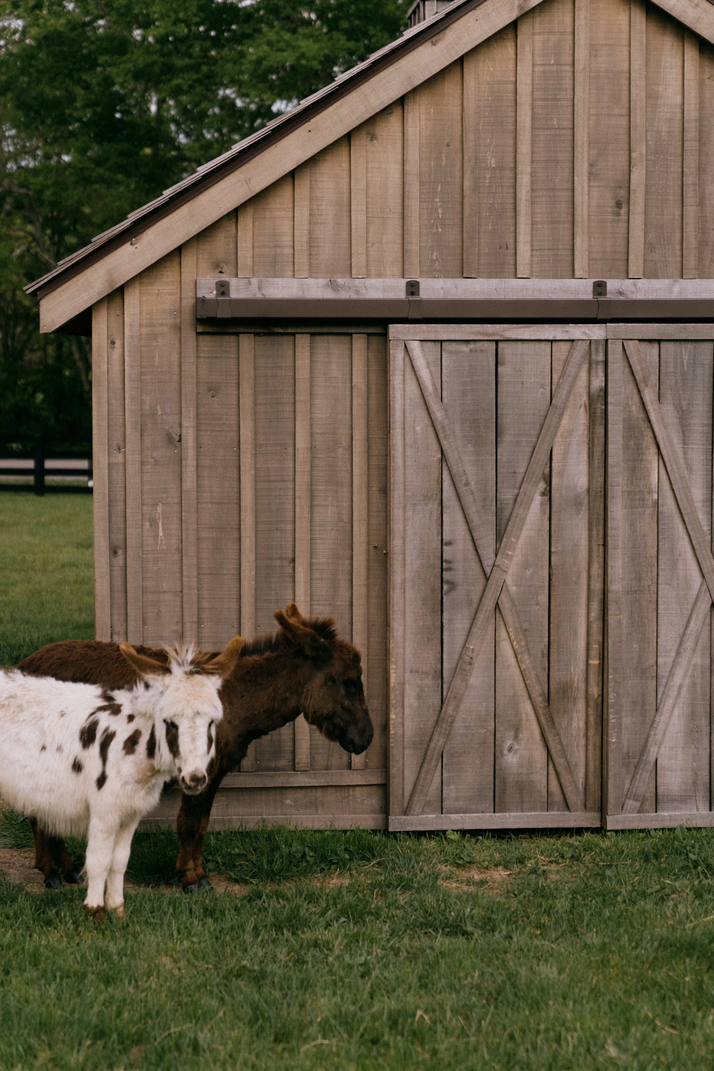 sparkman booty barn-3.jpg