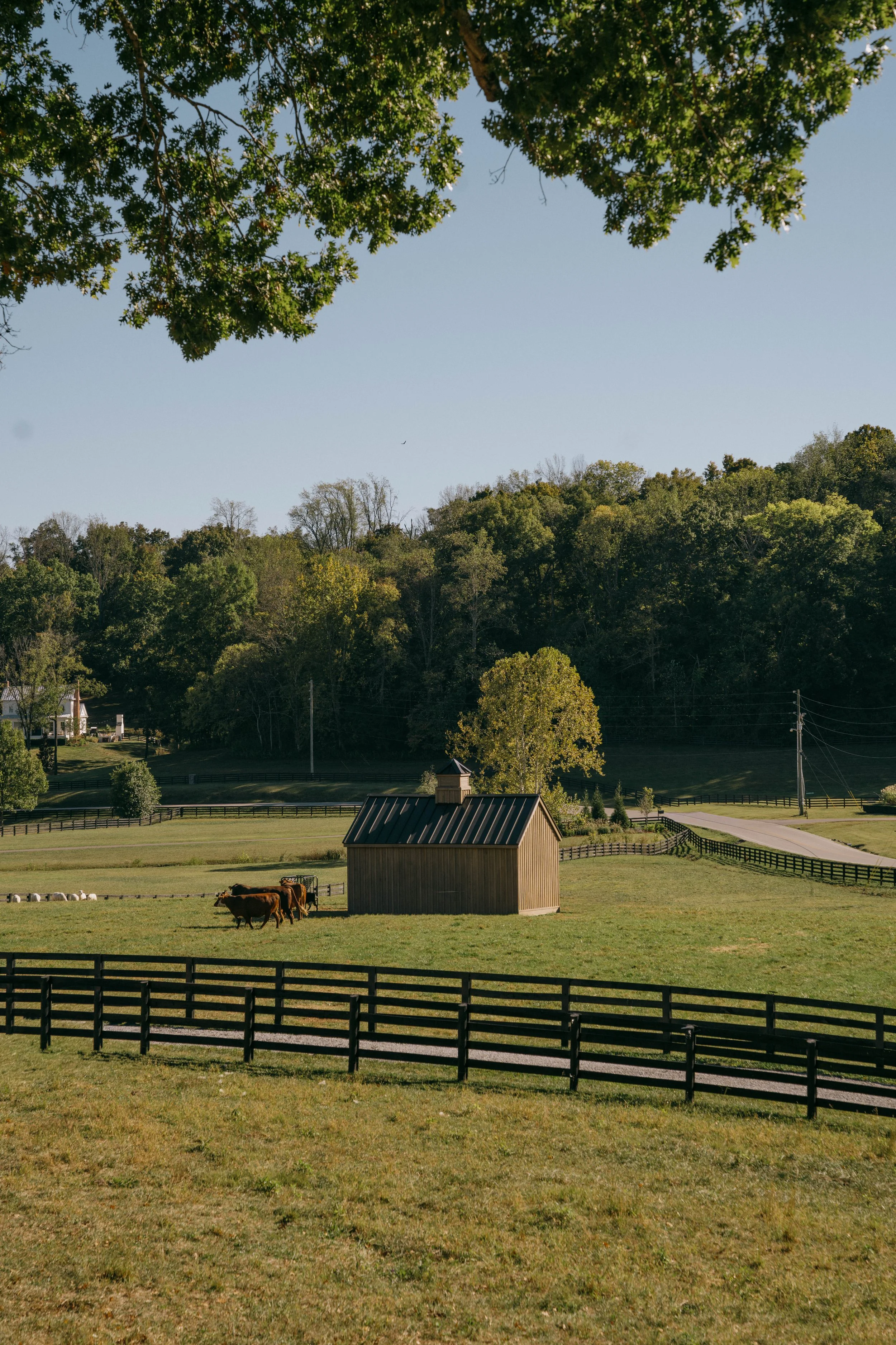 Woods Barns-15.jpg