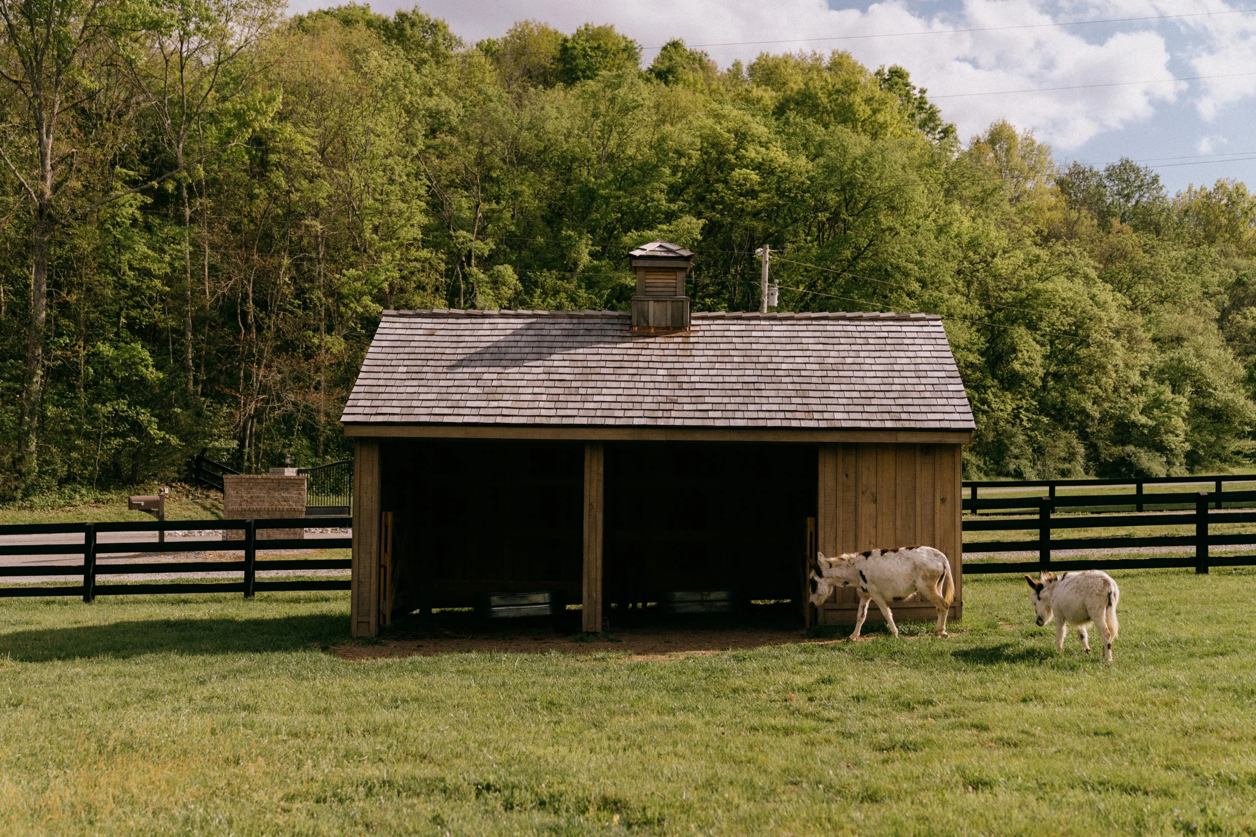 sparkman booty barn-15.jpg
