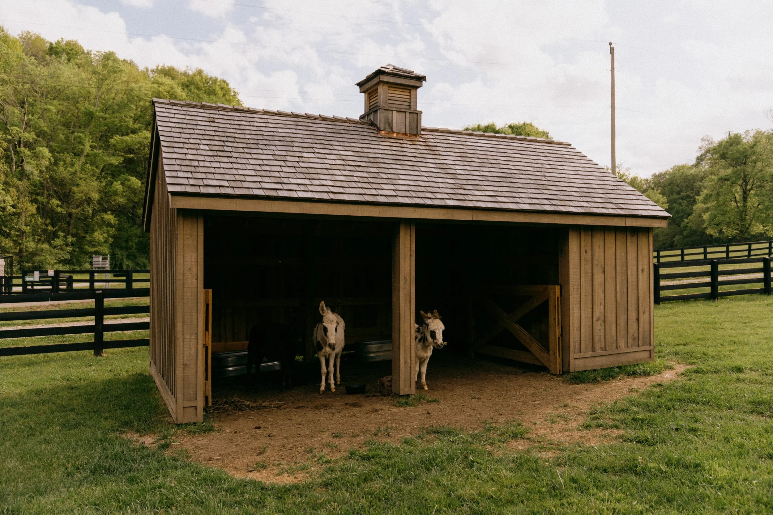 sparkman booty barn-14.jpg