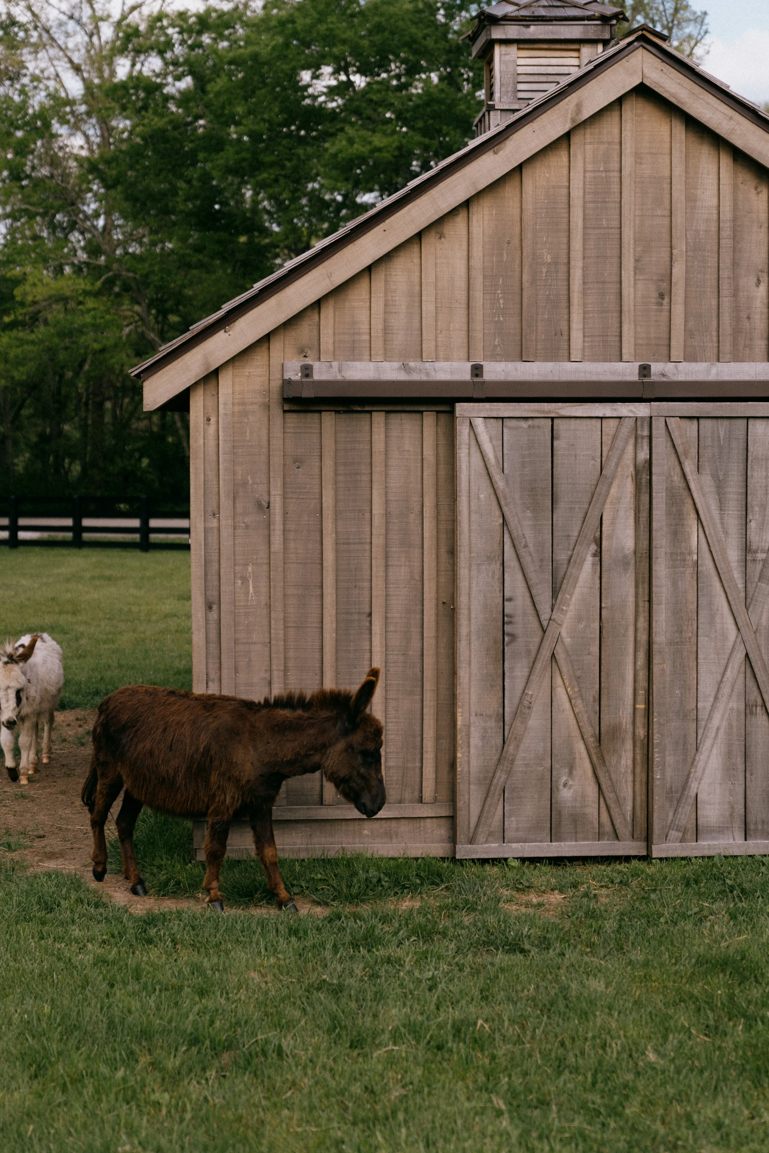sparkman booty barn-4.jpg