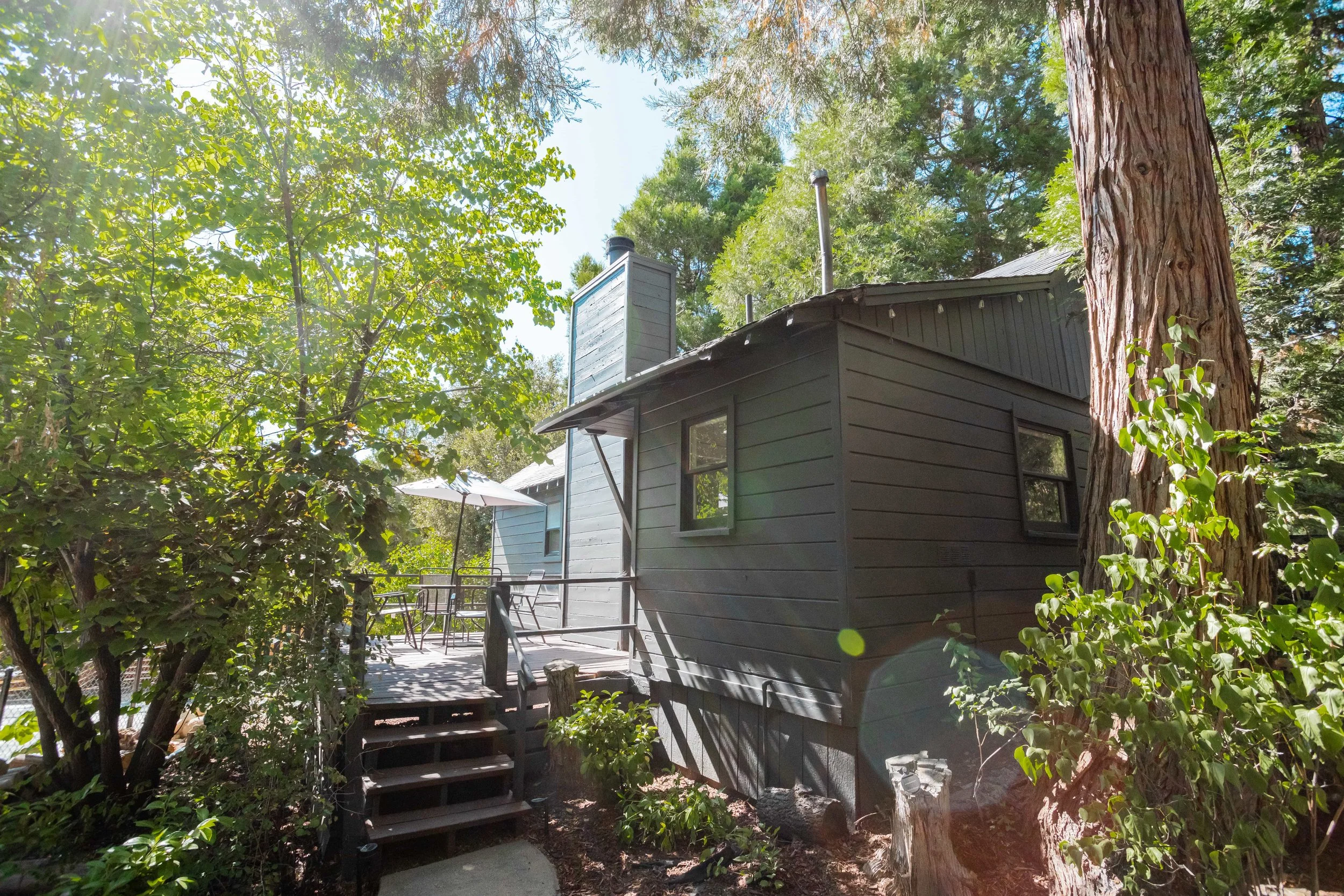 A small, dark-colored cabin with a deck and outdoor furniture surrounded by green trees and foliage on a sunny day.