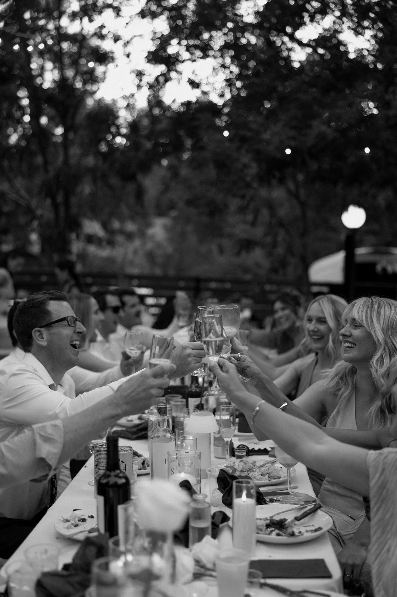 Group of people at an outdoor dinner party raising glasses in a toast, smiling and enjoying the gathering.