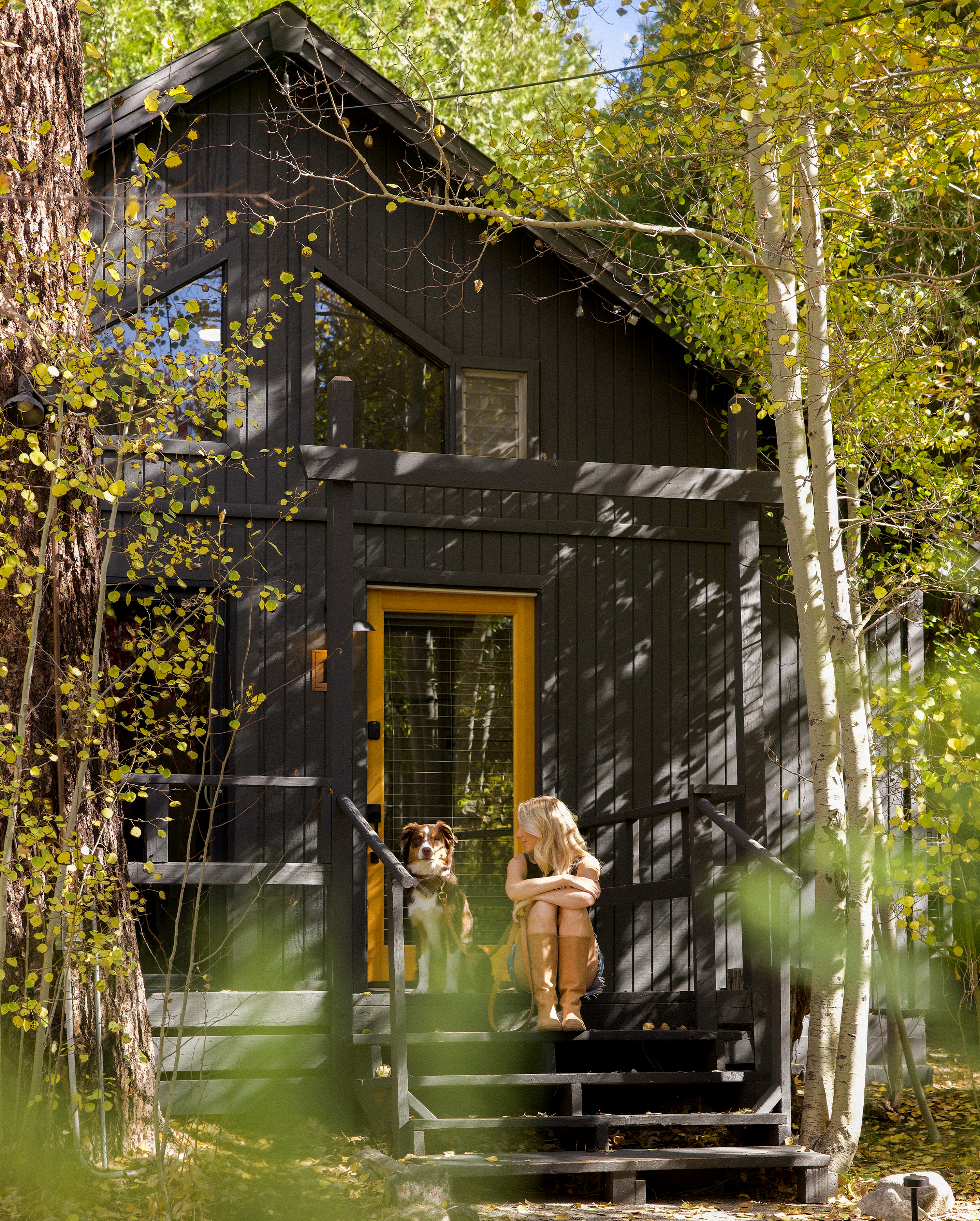 The Pinetree Hotel Idyllwild:  a unique a frame cabin - cabin 11 - Idyllwild California, cozy cabin, mountain resort, mountain getaway