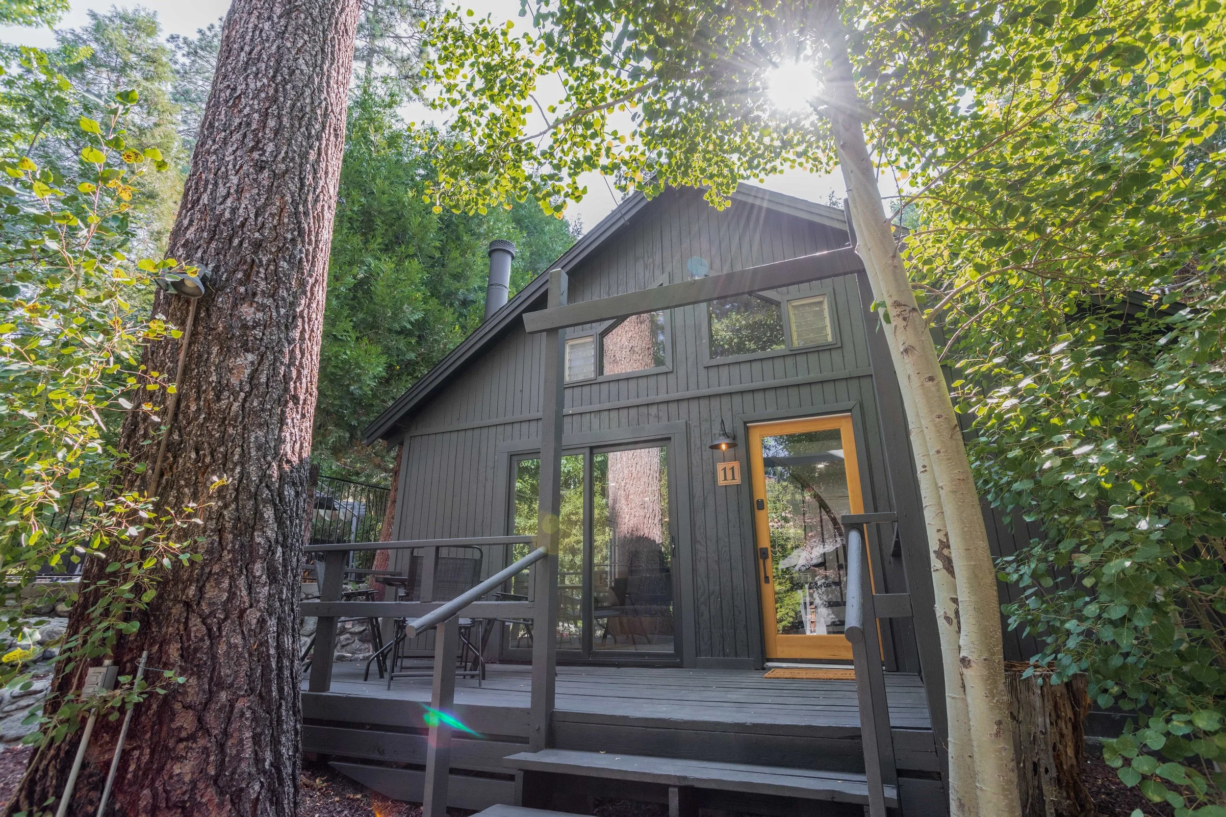 A modern black wooden cabin surrounded by trees with a front deck, glass sliding door, and a yellow door, in a forest setting with sunlight filtering through the leaves.
