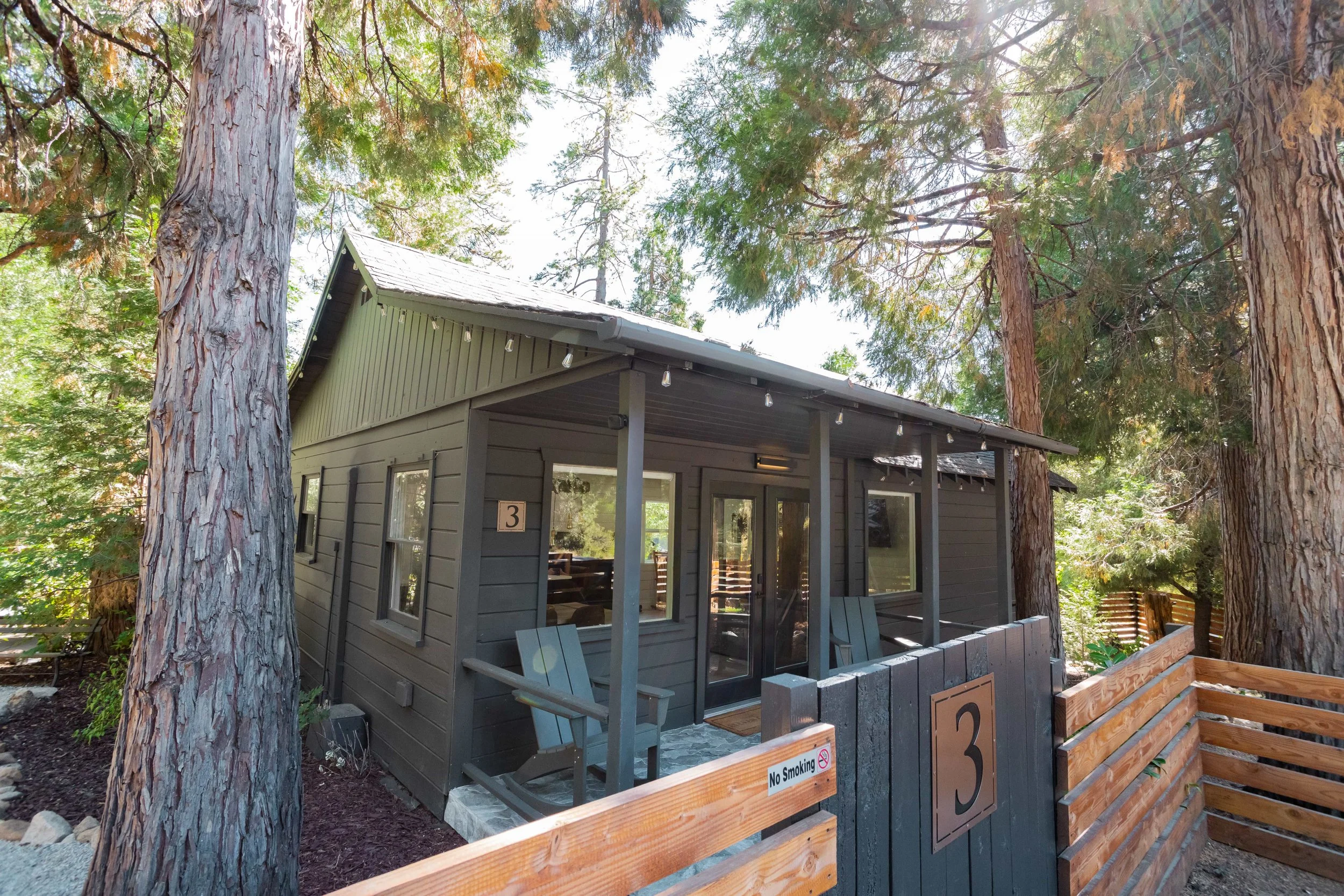 A small gray cabin with a porch surrounded by tall trees in a wooded area.