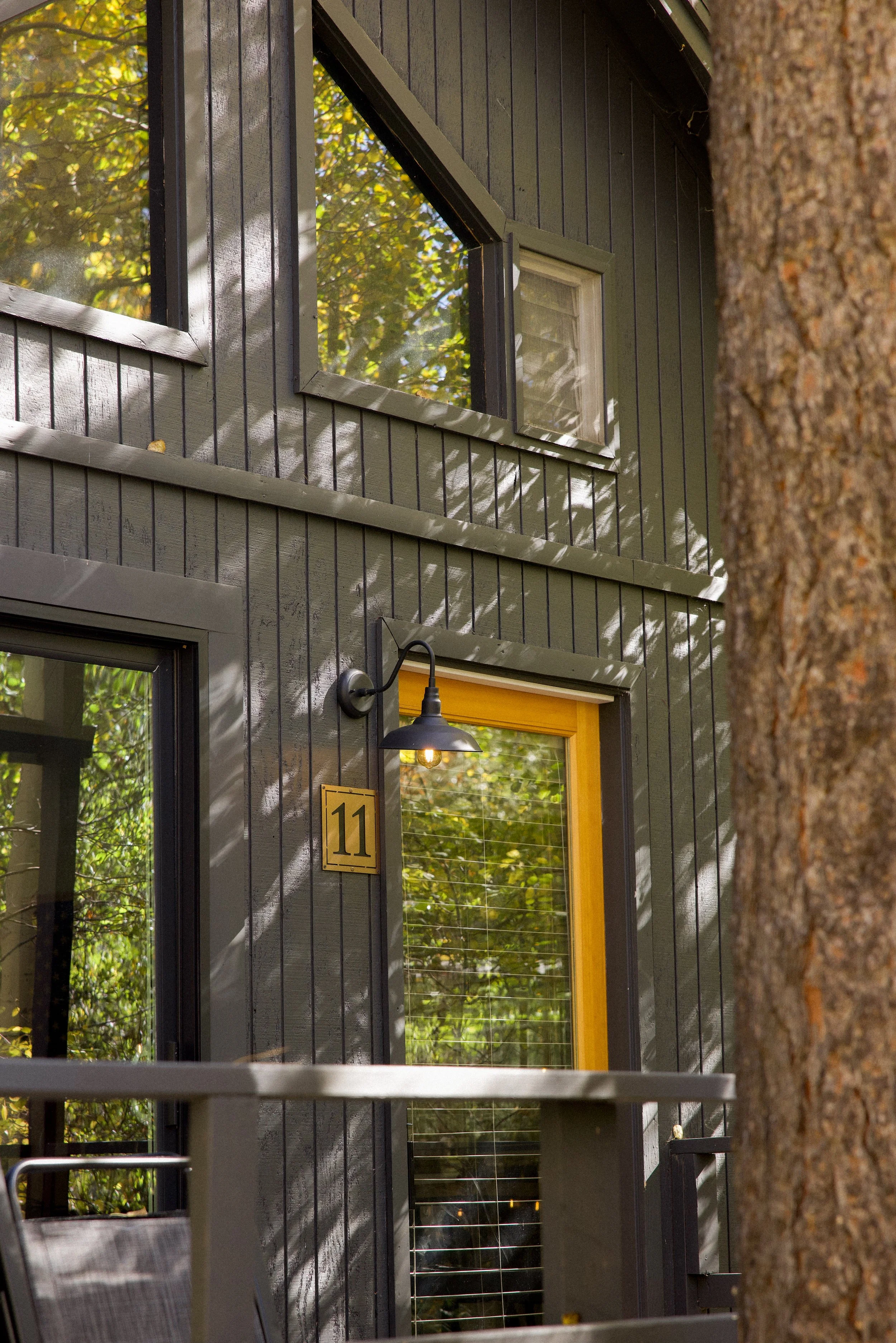 Close-up of a modern house exterior with dark green vertical siding, multiple windows reflecting trees, a yellow-framed glass door, and a black outdoor light fixture with a house number 11, partially obscured by a tree trunk.