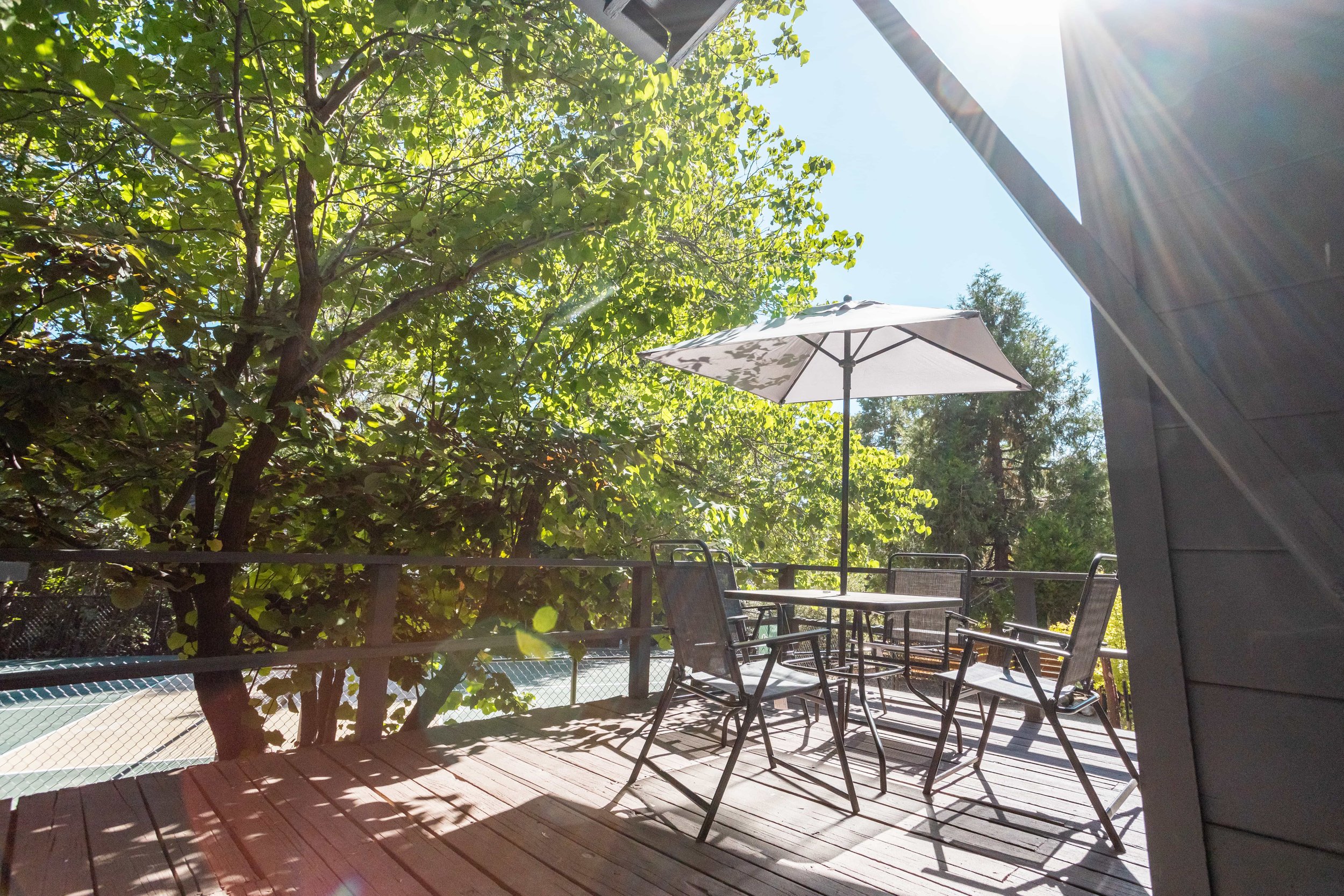 The Pinetree Hotel Idyllwild:  a - Idyllwild California, cozy cabin, mountain resort, mountain getaway Modern bathroom in cabin 1 with dark tiled walls, wooden ceiling, and walk-in shower with glass door and frosted window.