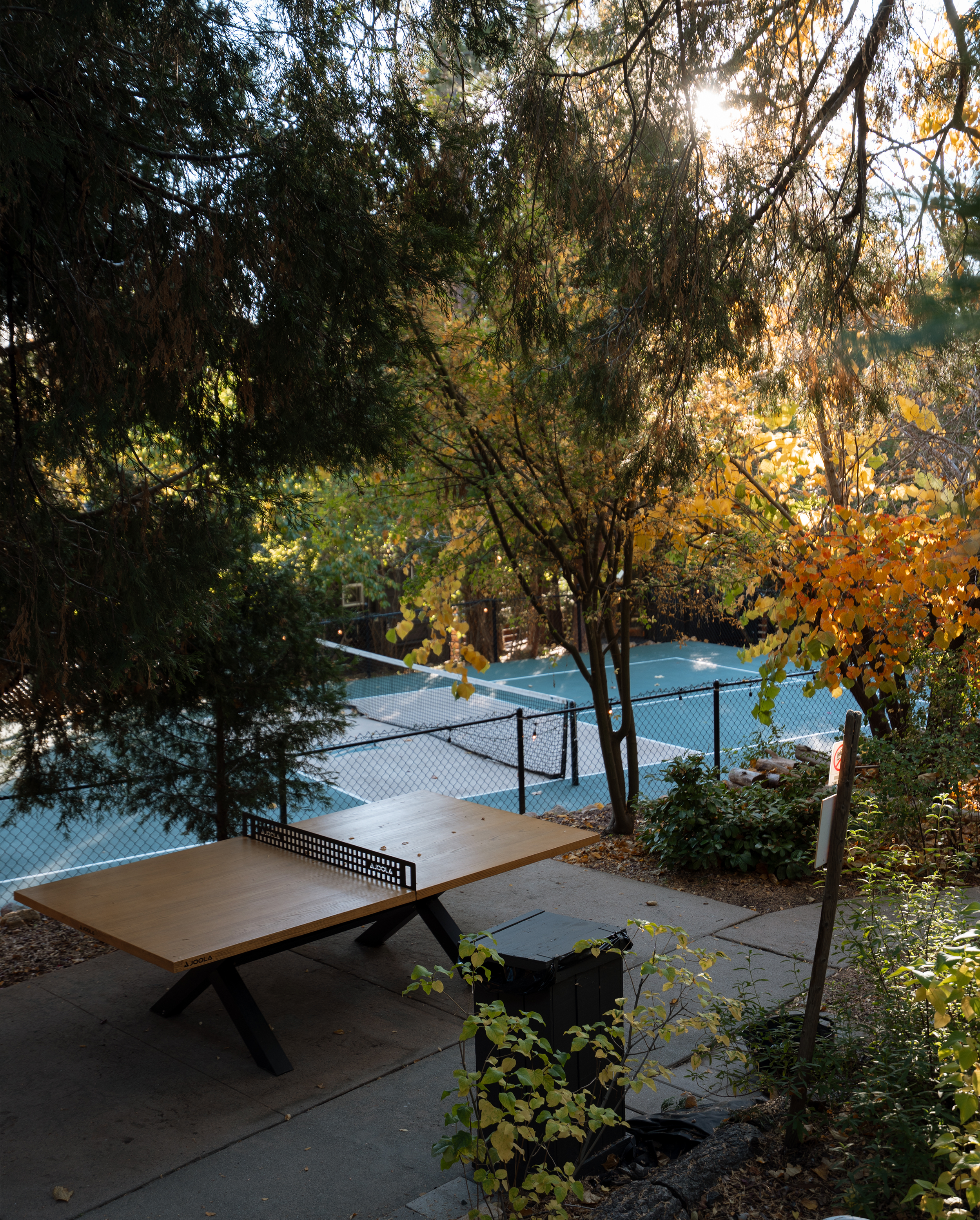 The Pinetree Hotel Idyllwild: A wooden table with a ping pong net set up on it, on a patio near trees and bushes, overlooking a tennis court enclosed by a chain-link fence, with sunlight filtering through the leaves.