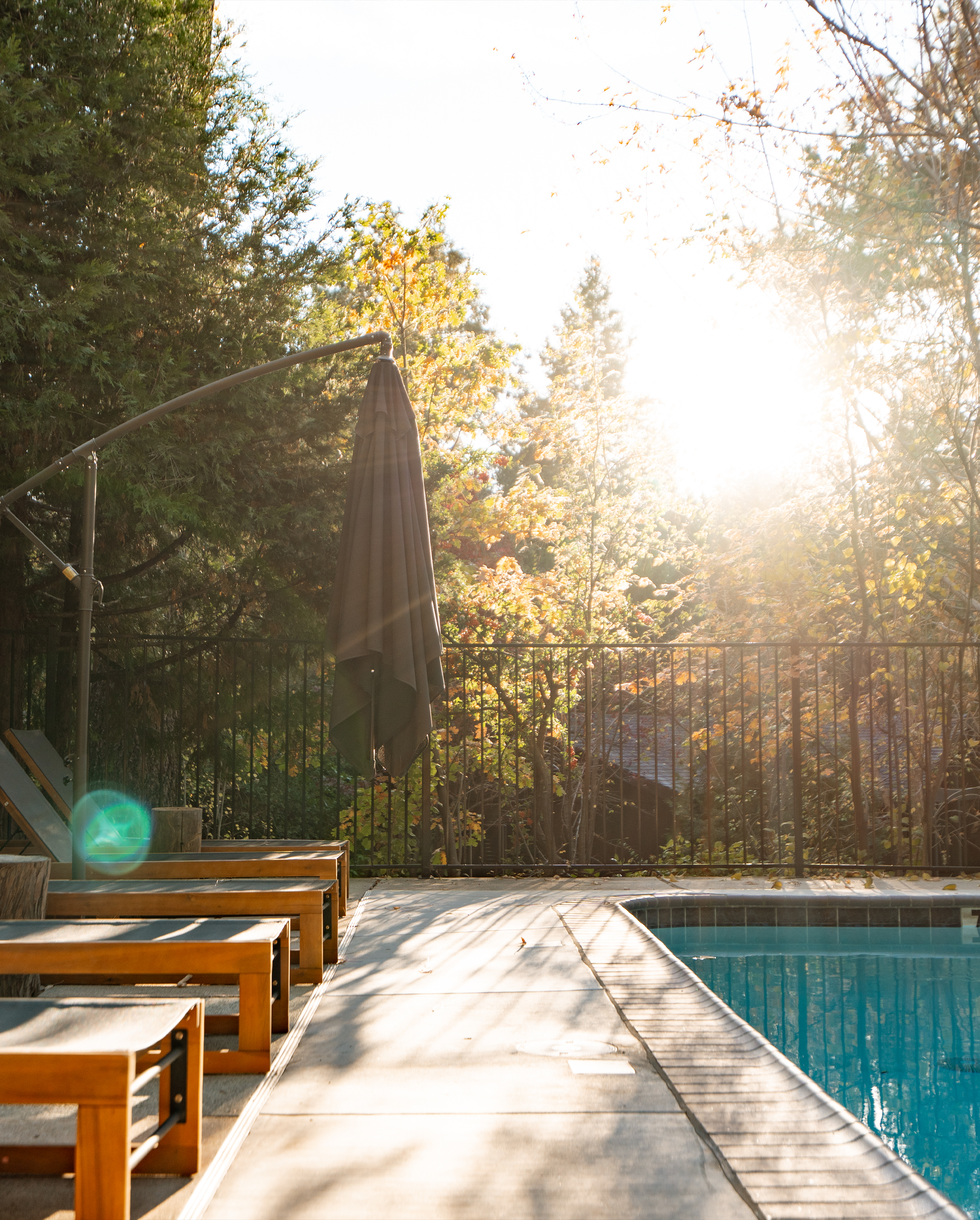 The Pinetree Hotel Idyllwild: - heated pool surroinded by pines - Idyllwild California, cozy cabin, mountain resort, mountain getaway