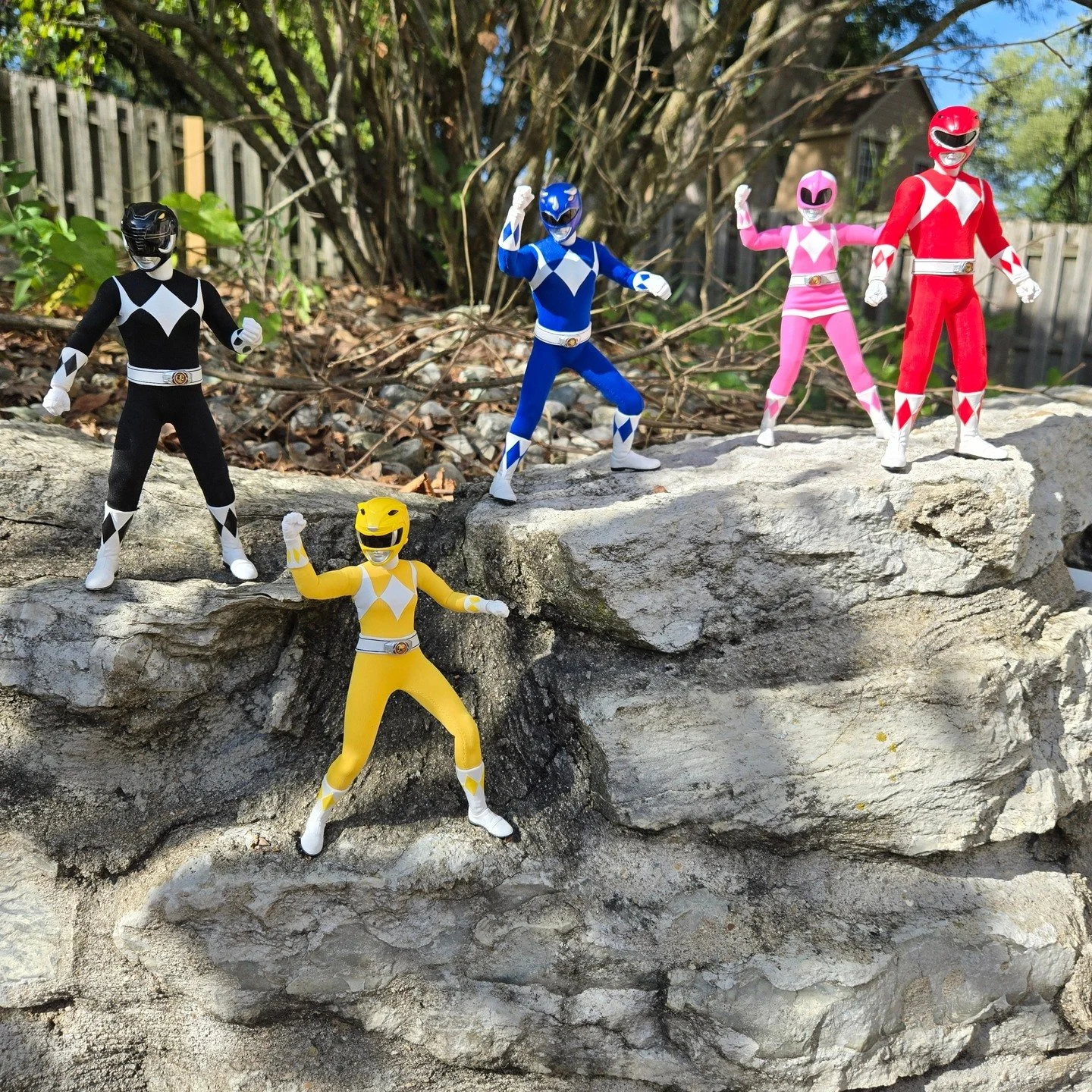 The core Power Ranger team! These suits are so iconic!!

Seeing the cloth suits in the backyard never gets old!

#powerrangercollection #powerrangers #mmpr #redranger #90saesthetic #90svintage #nostolgic