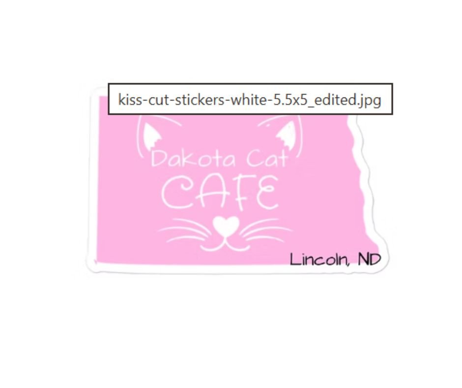 Bigs go to Cat Cafe