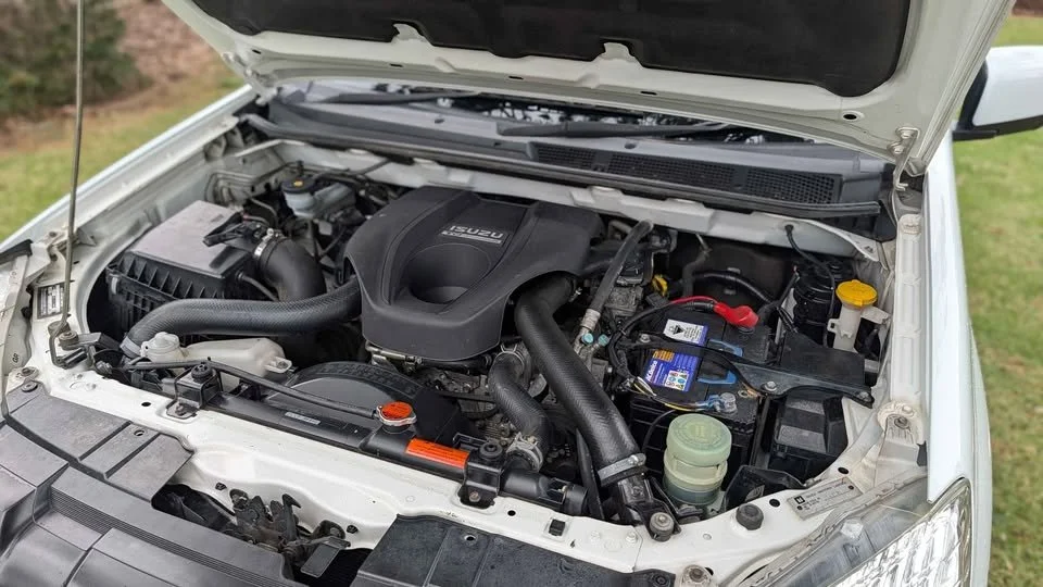 Dmax10.jpg